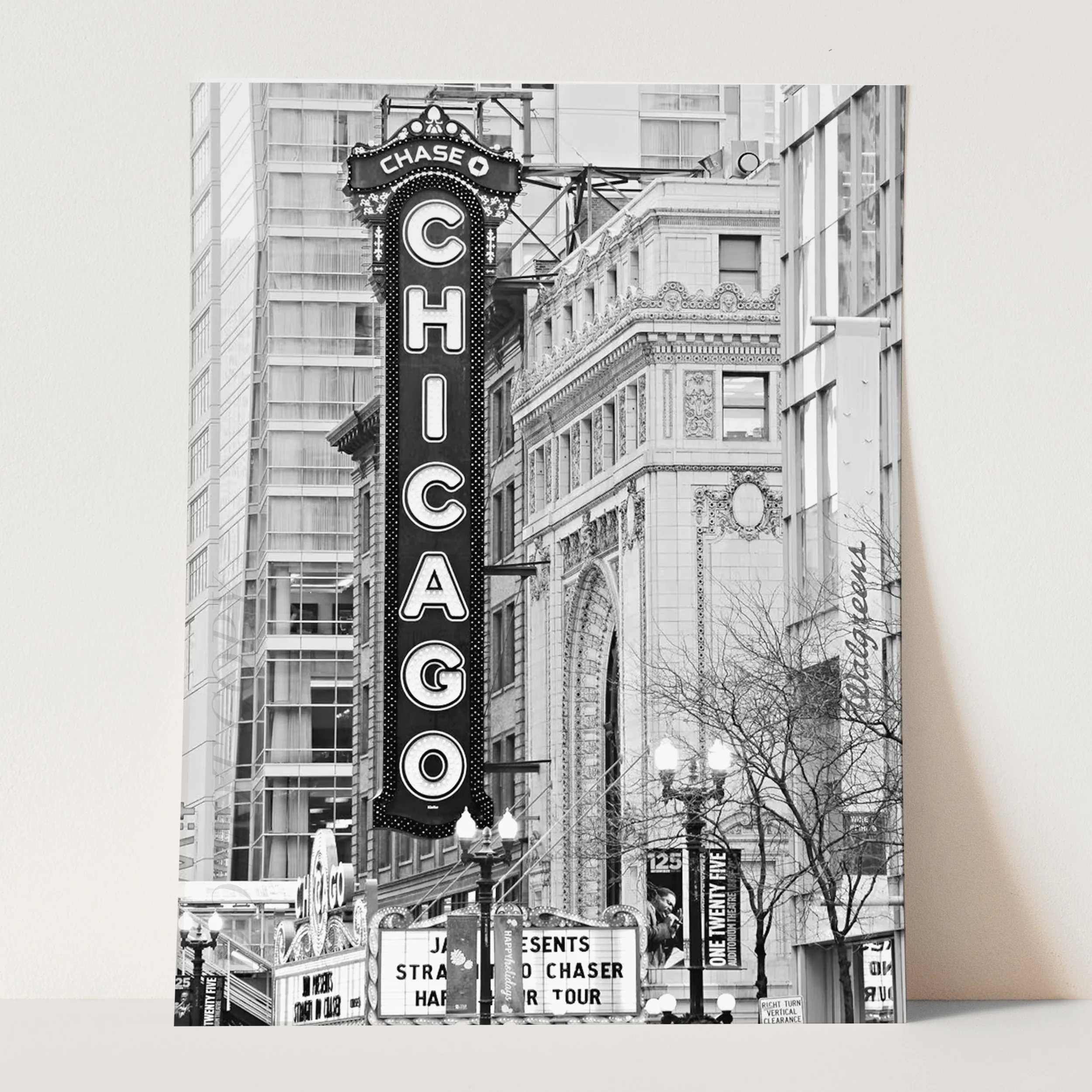 The Chicago Theatre Sign - Image 3