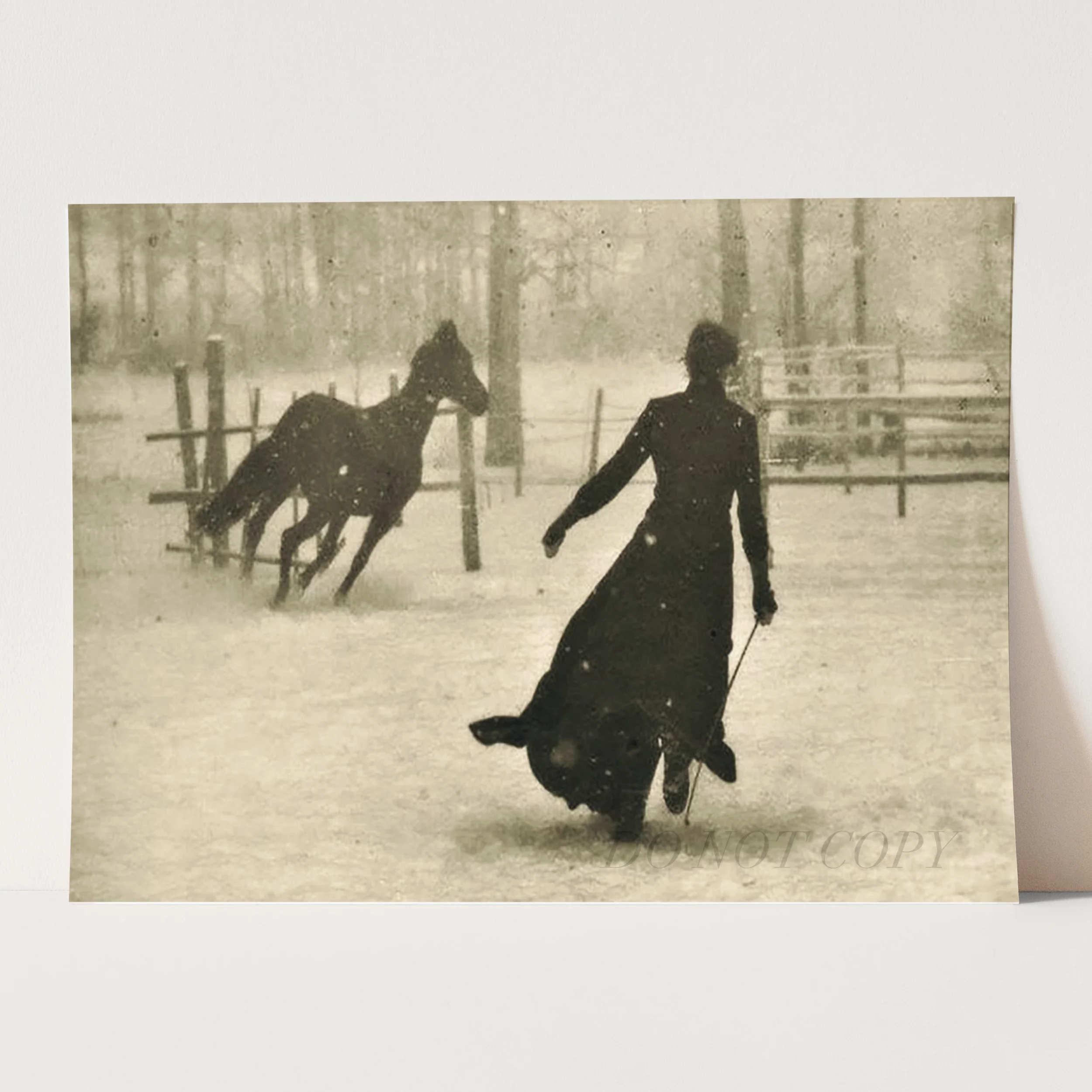 The Horse Trainer - Image 3