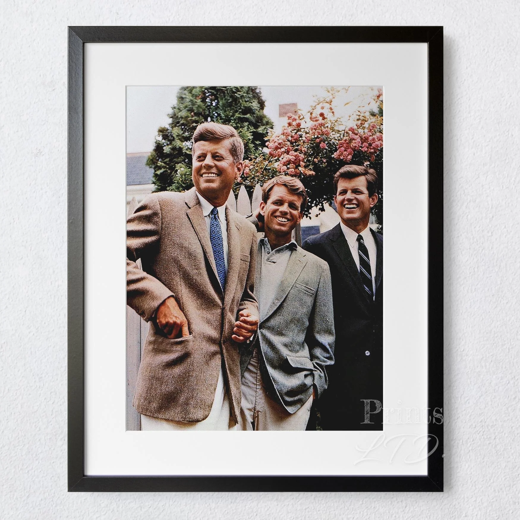 The Kennedy Brothers 1960 - Image 5