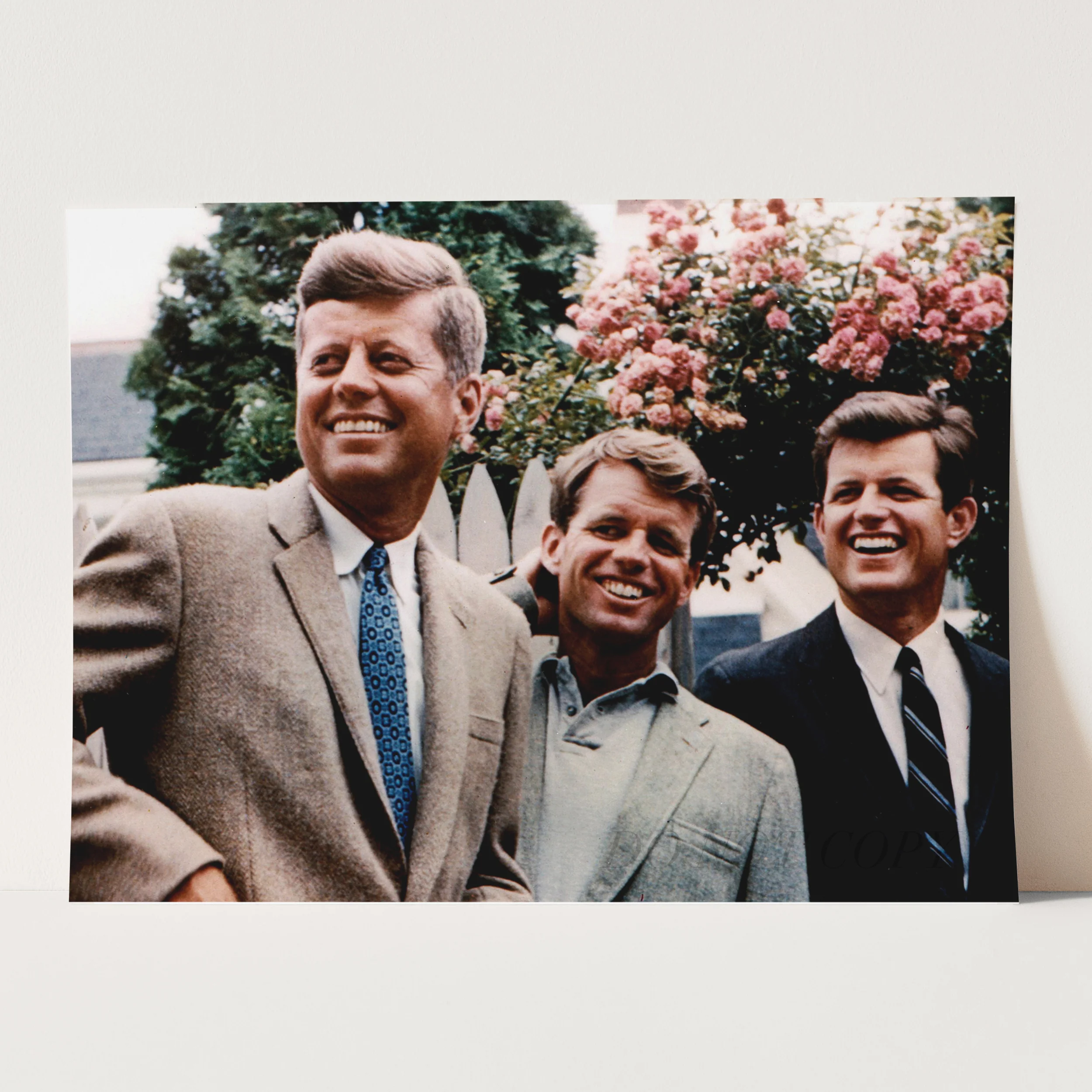 The Kennedy Brothers in 1960 - Image 3