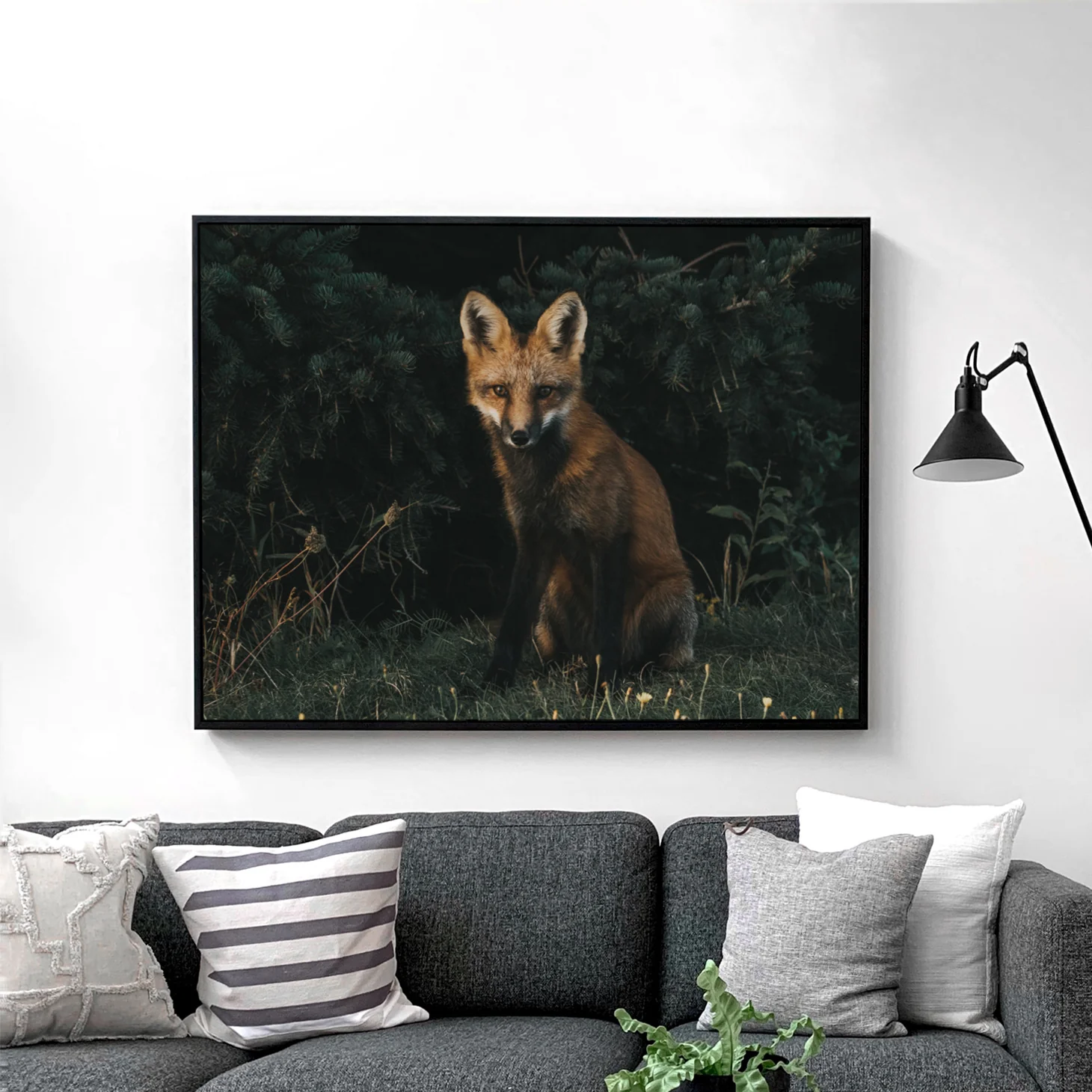 The Red Fox - Image 2