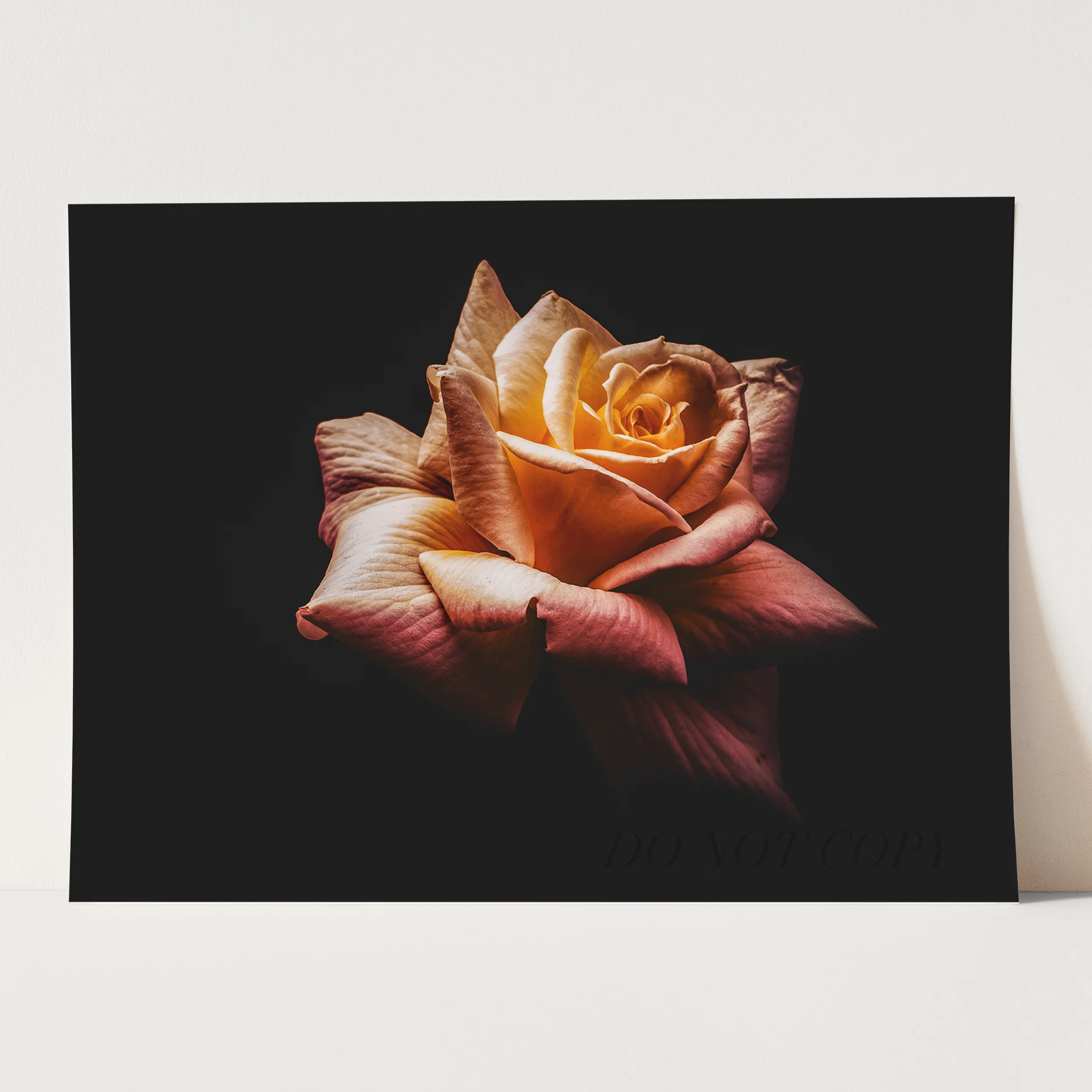 The Rose - Image 3