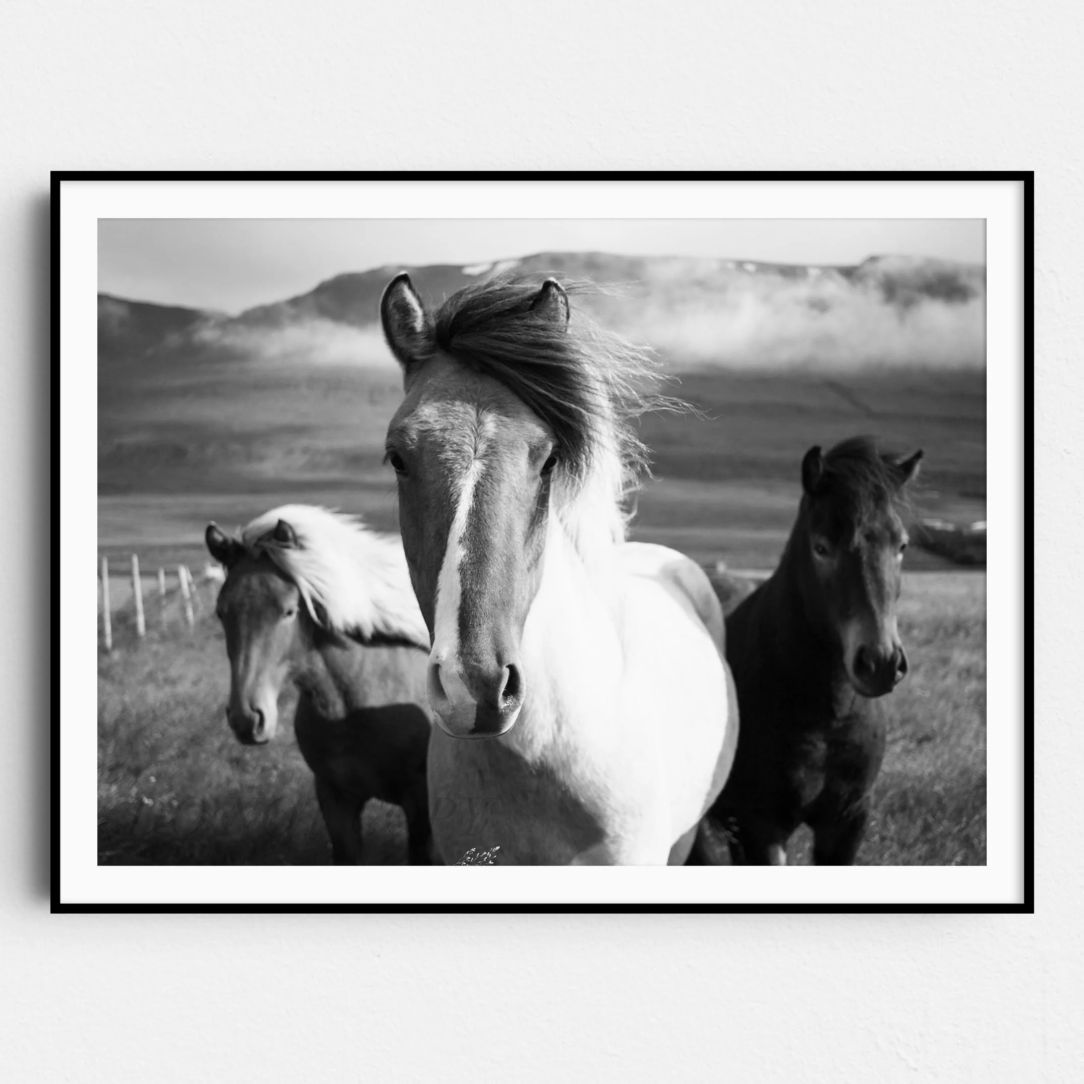 Three Horses