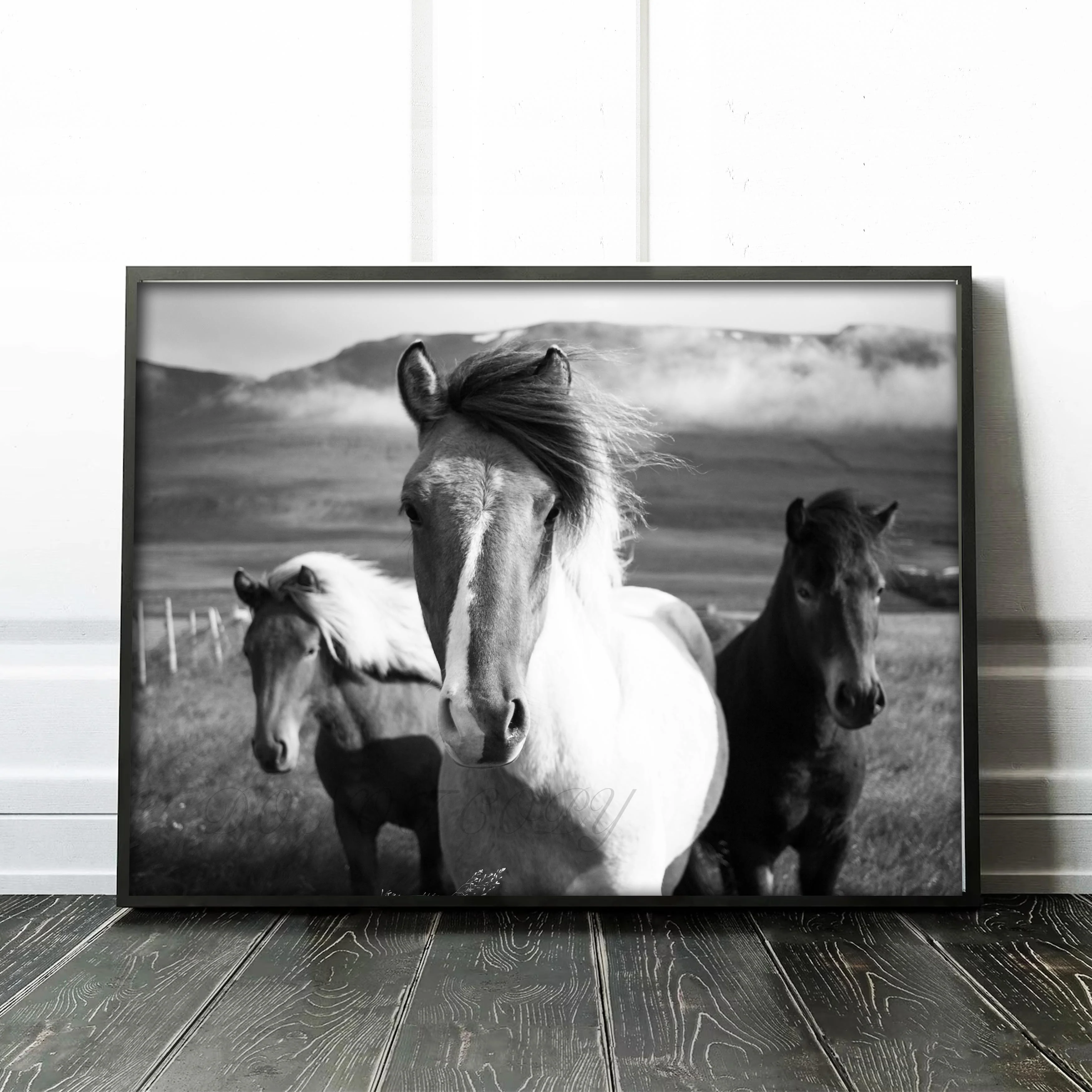 Three Horses - Image 2