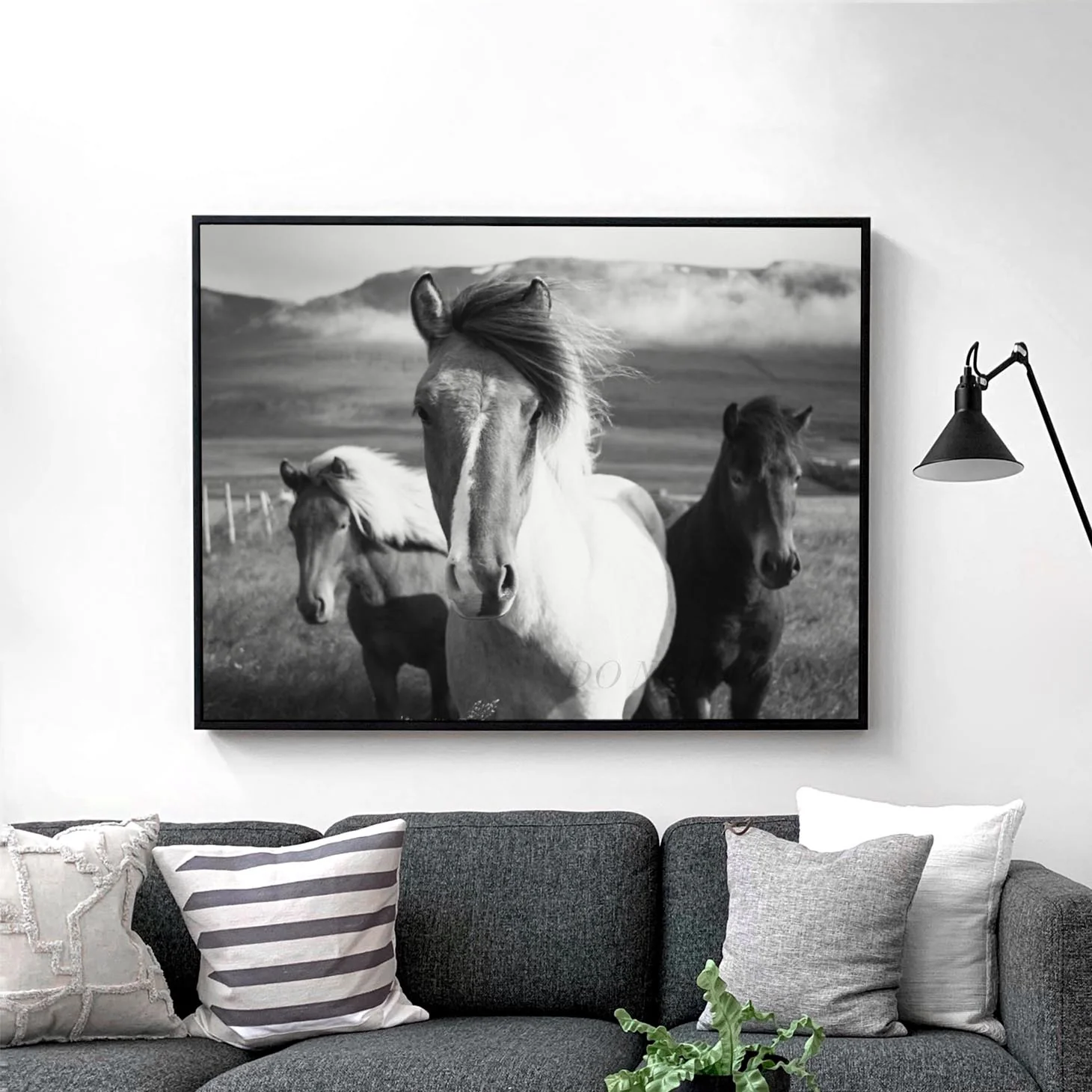 Three Horses - Image 3