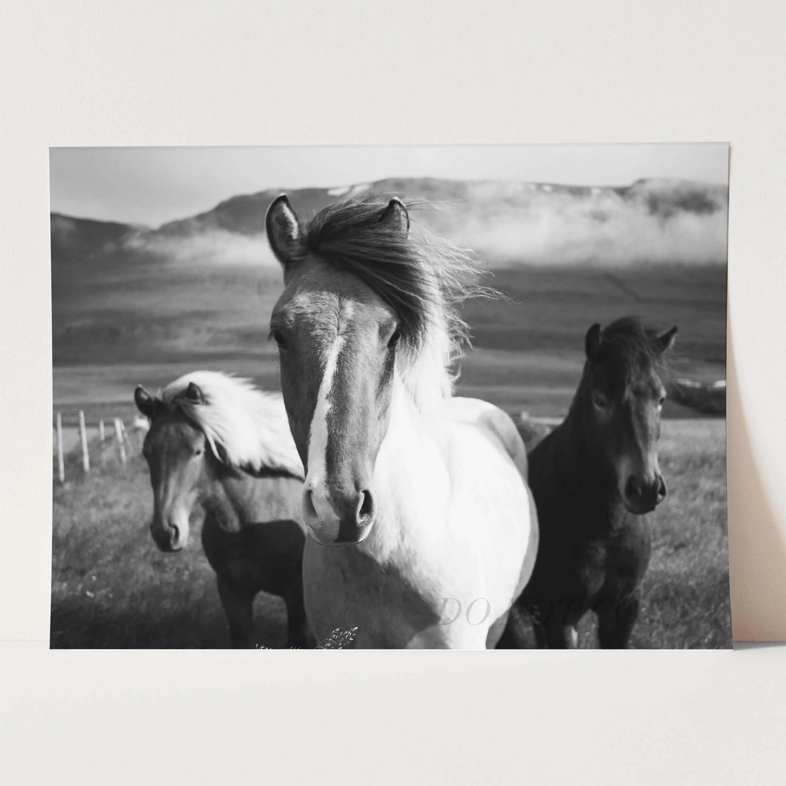 Three Horses - Image 5