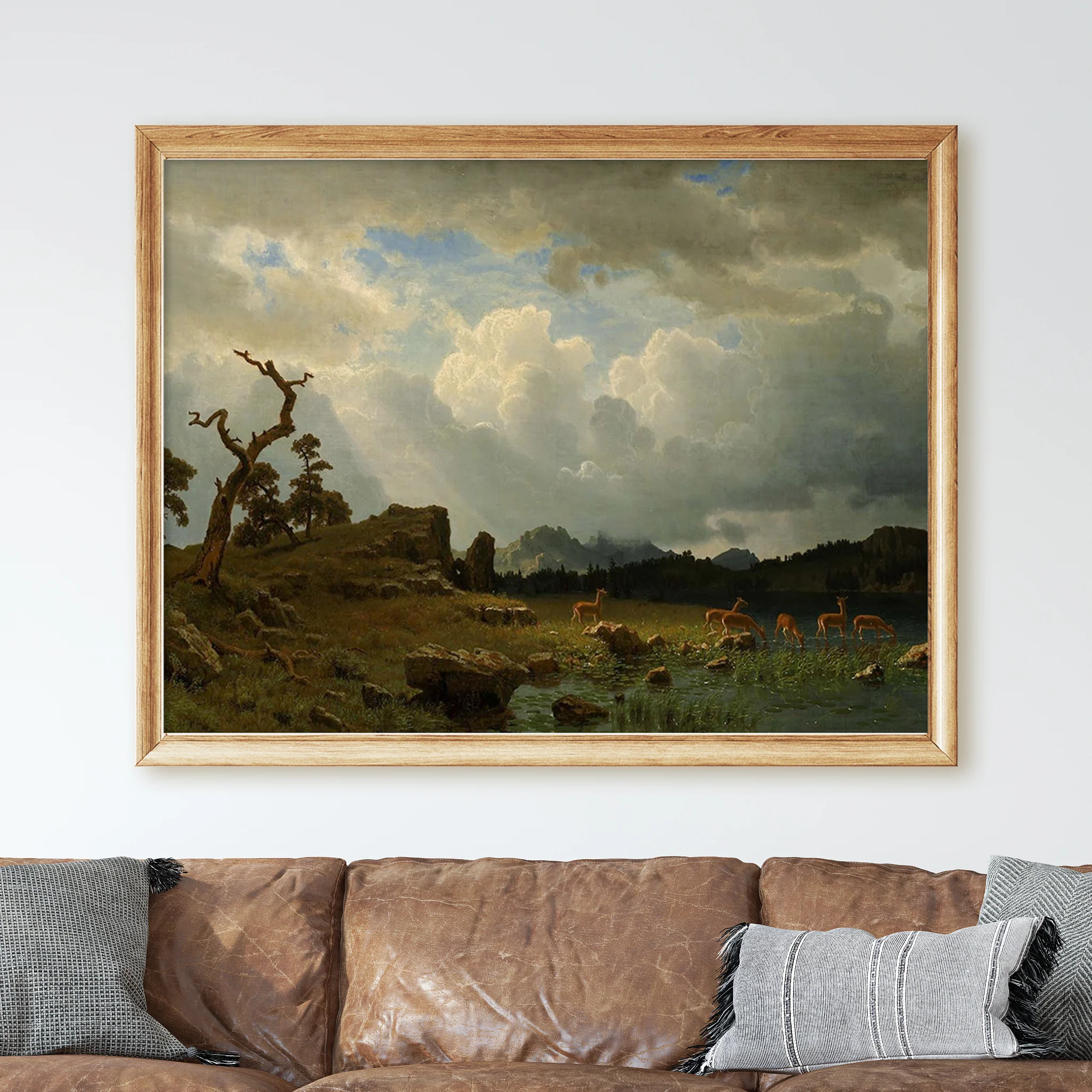Thunderstorm in the Rocky Mountains Landscape - Image 2