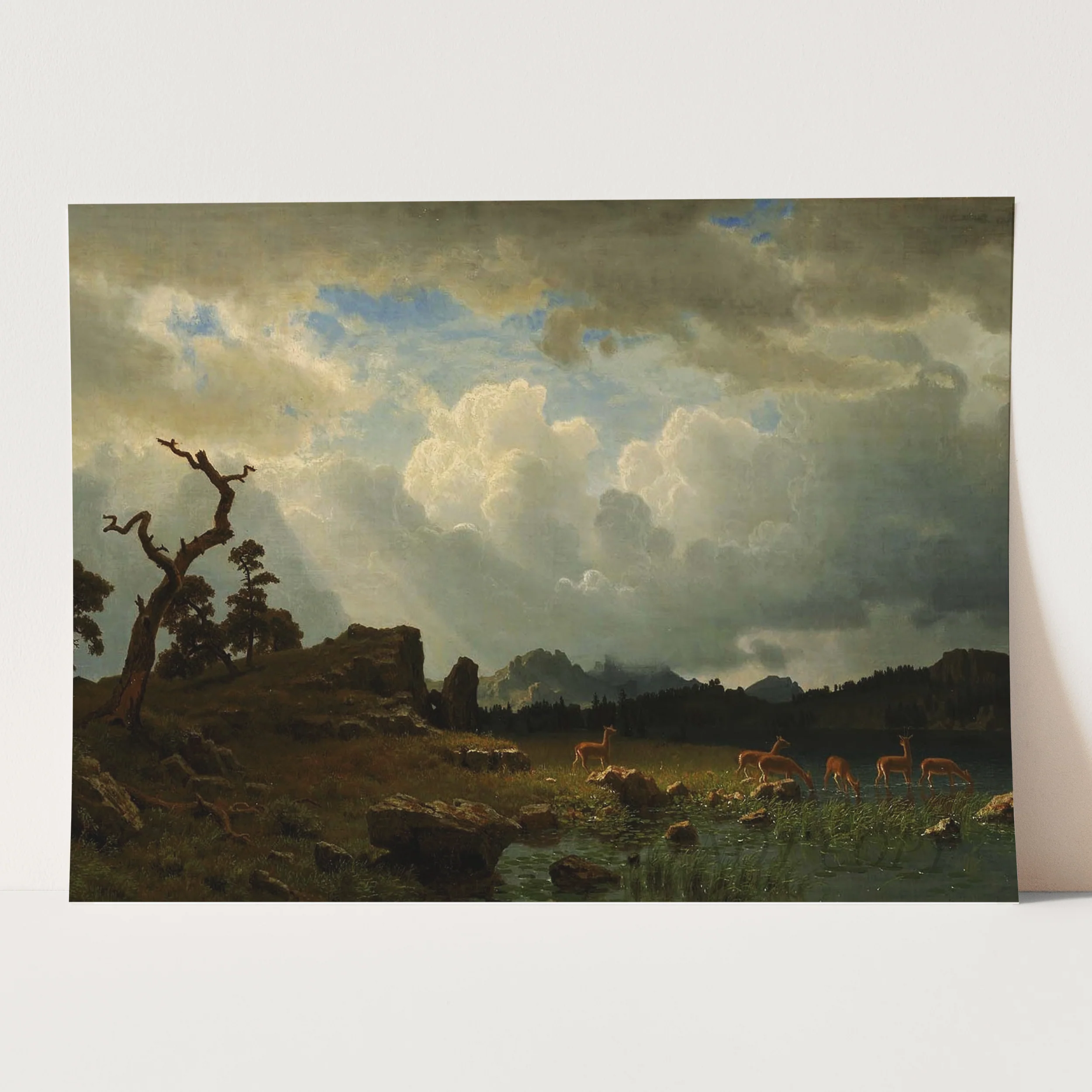Thunderstorm in the Rocky Mountains Landscape - Image 3