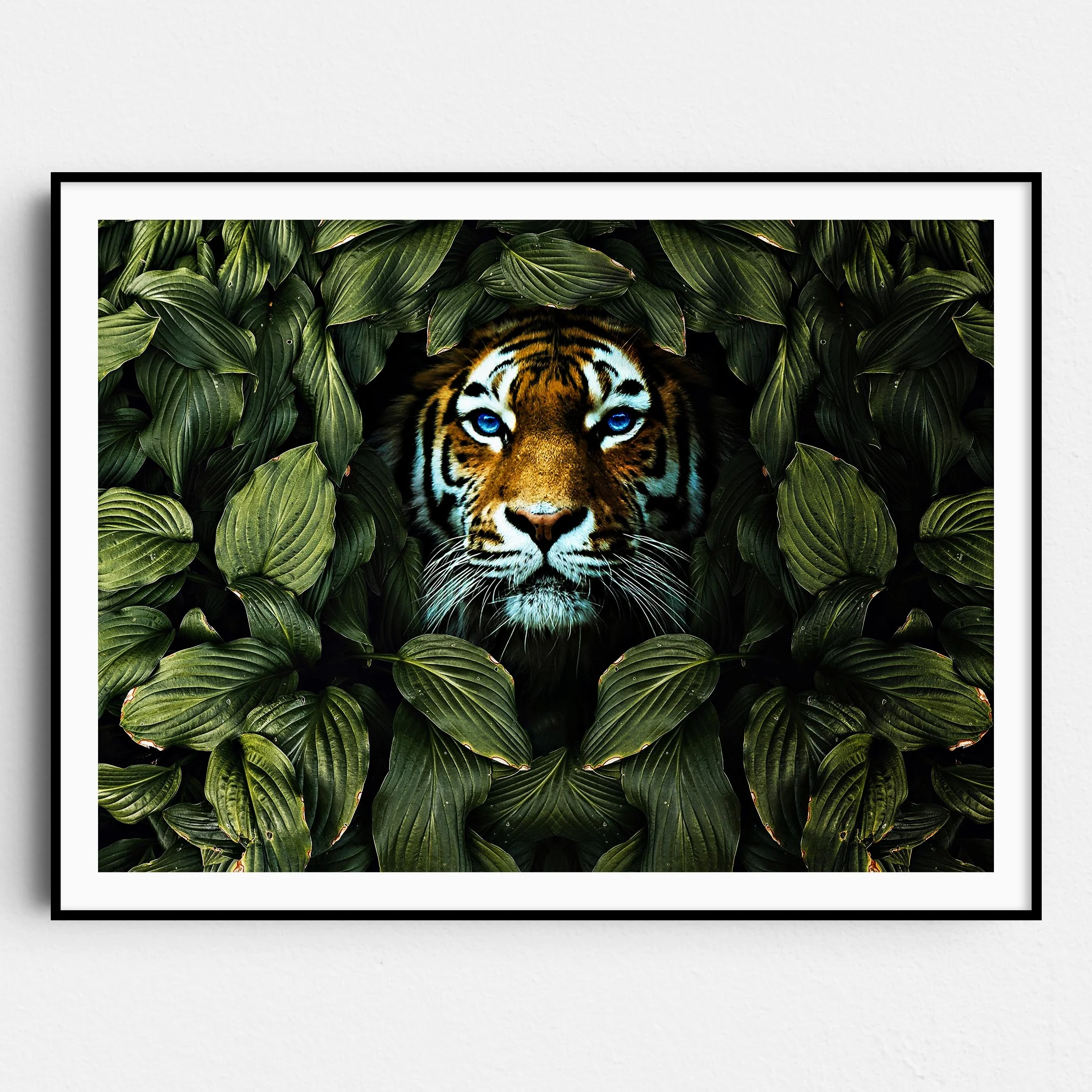 Tiger In The Bushes