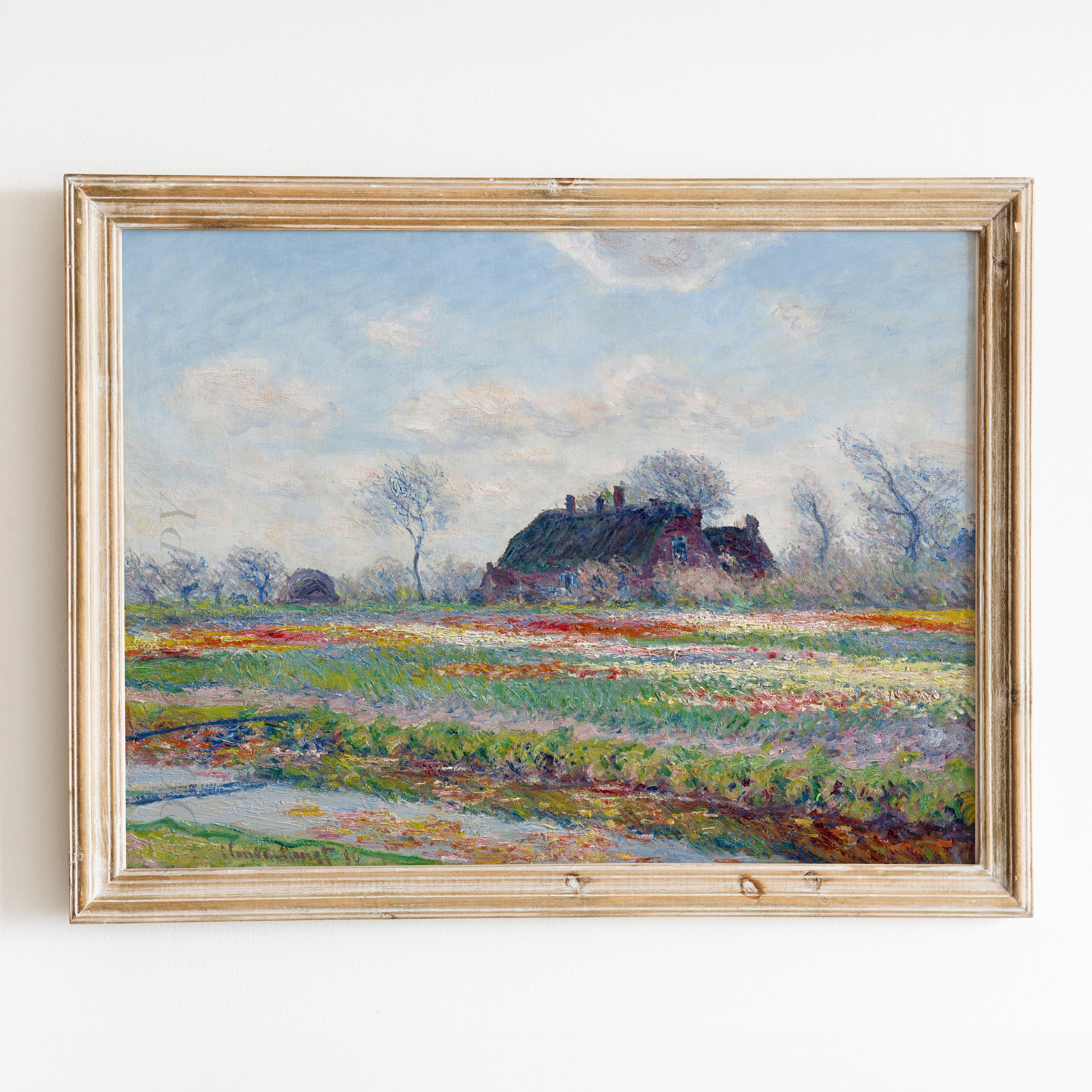 Tulip Fields at Sassenheim (1886) by Claude Monet