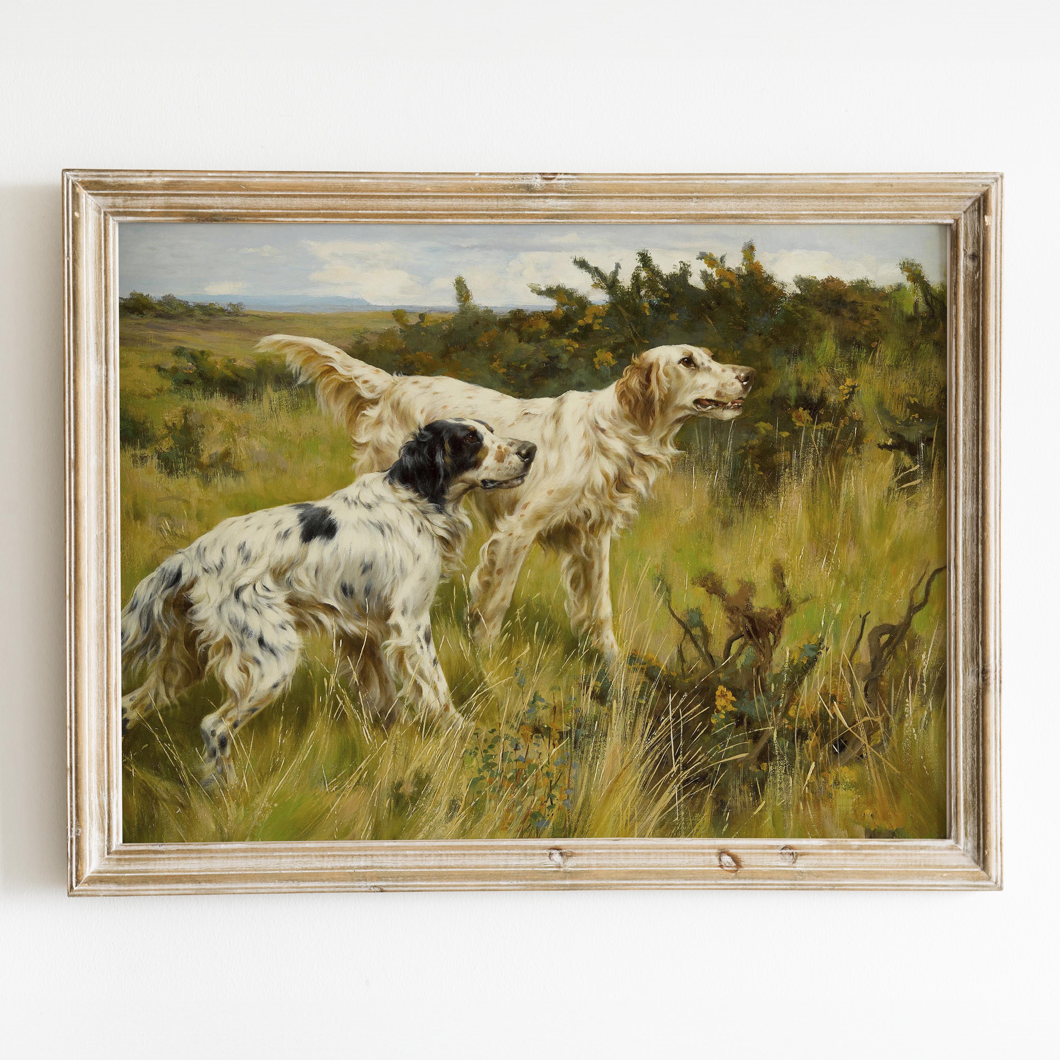 Two English Setters