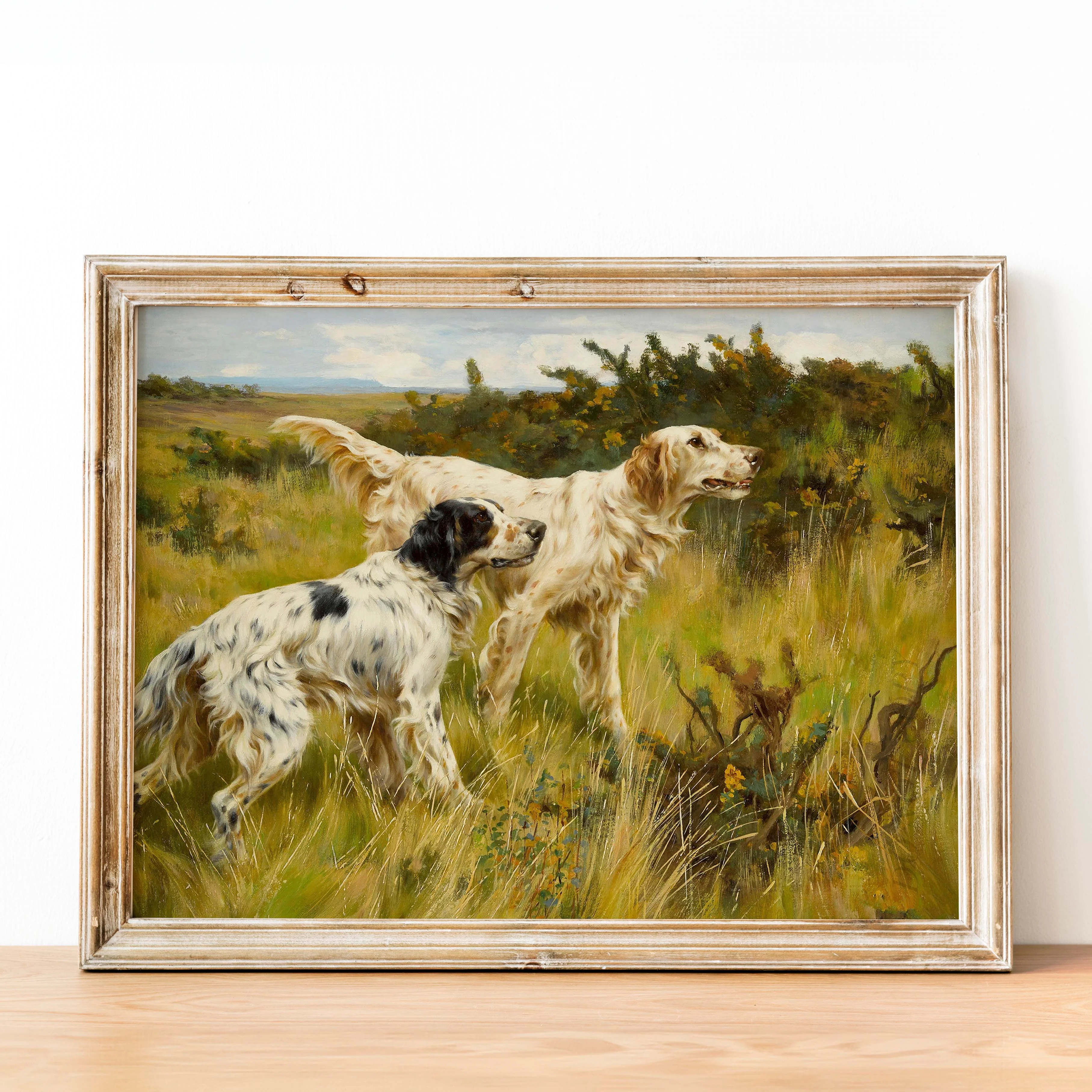 Two English Setters - Image 2