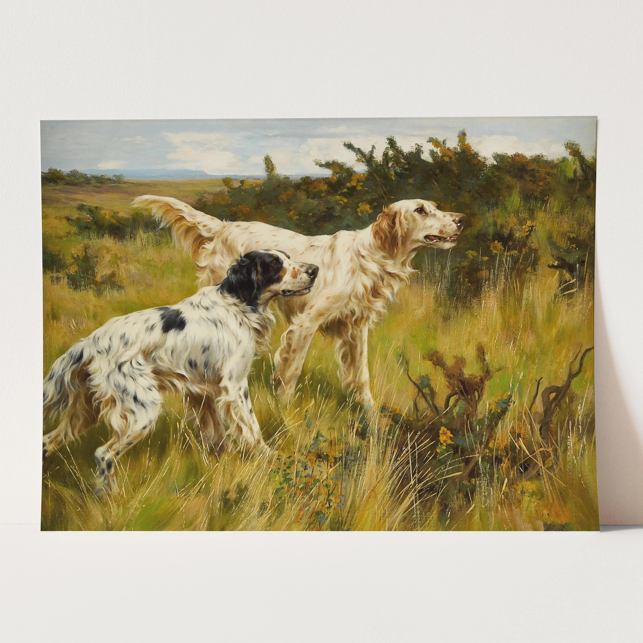 Two English Setters - Image 5