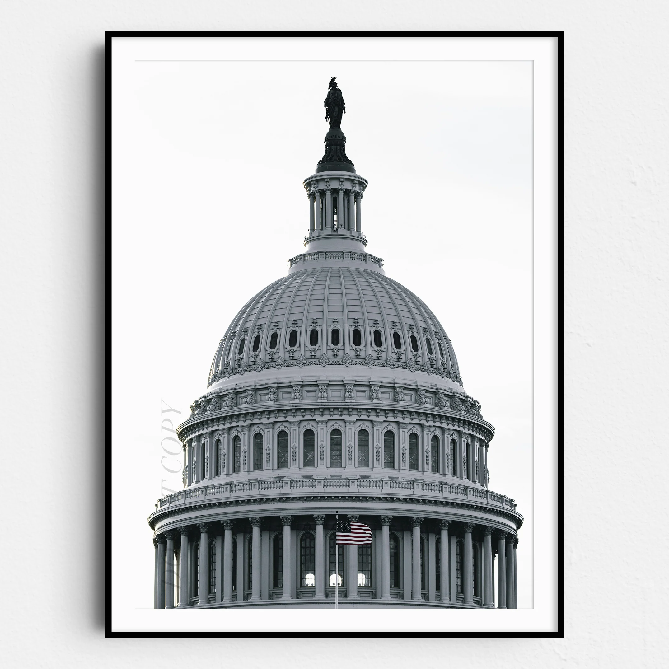 U.S. Capitol Building