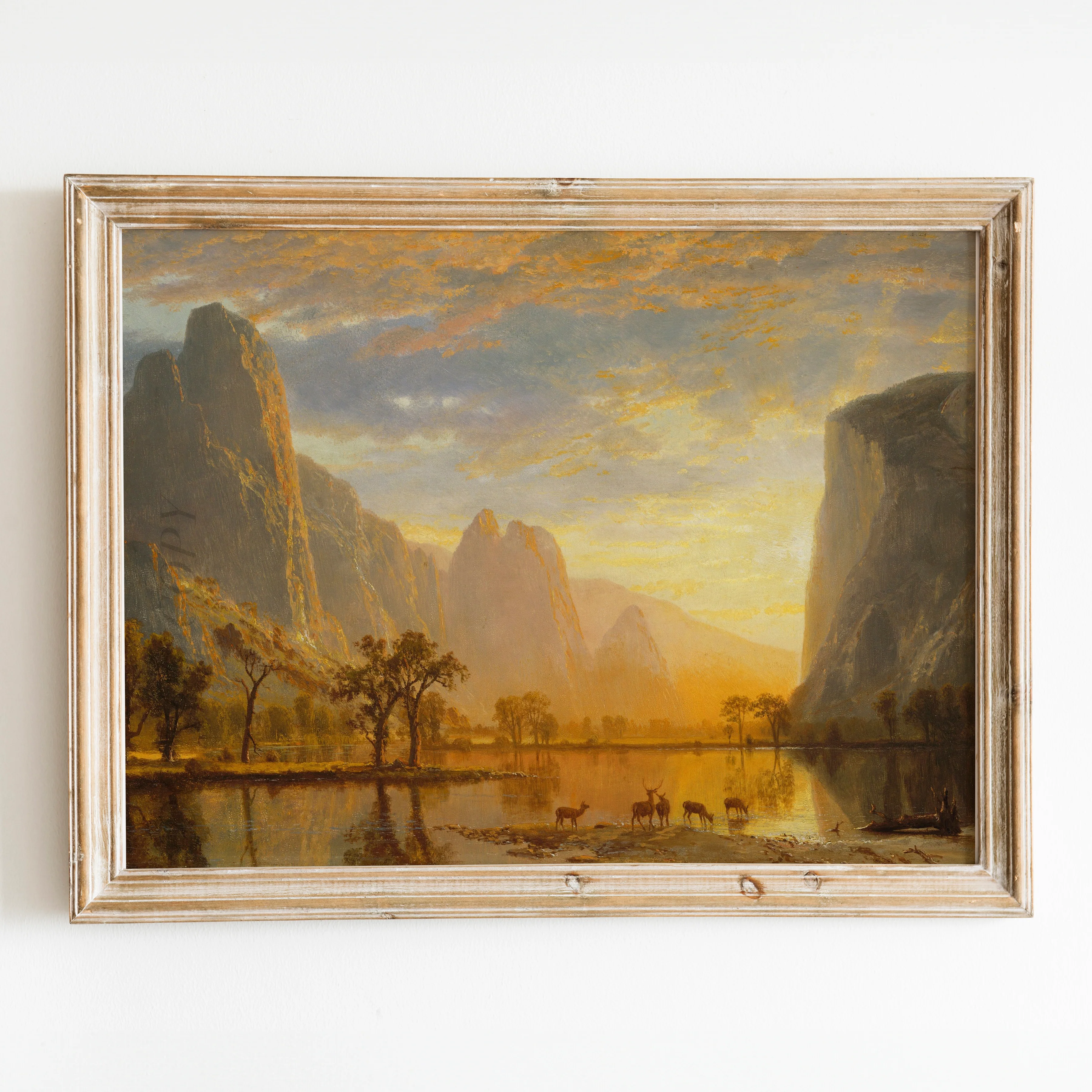 Yosemite Valley Landscape