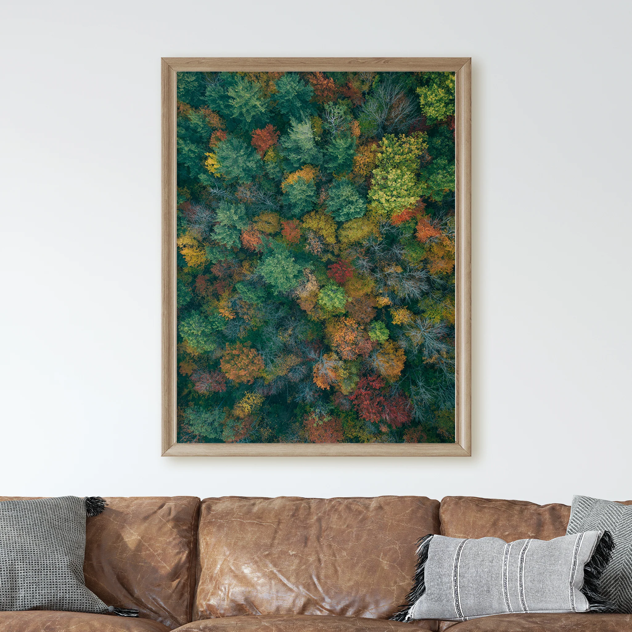 Vermont Forest - Image 2