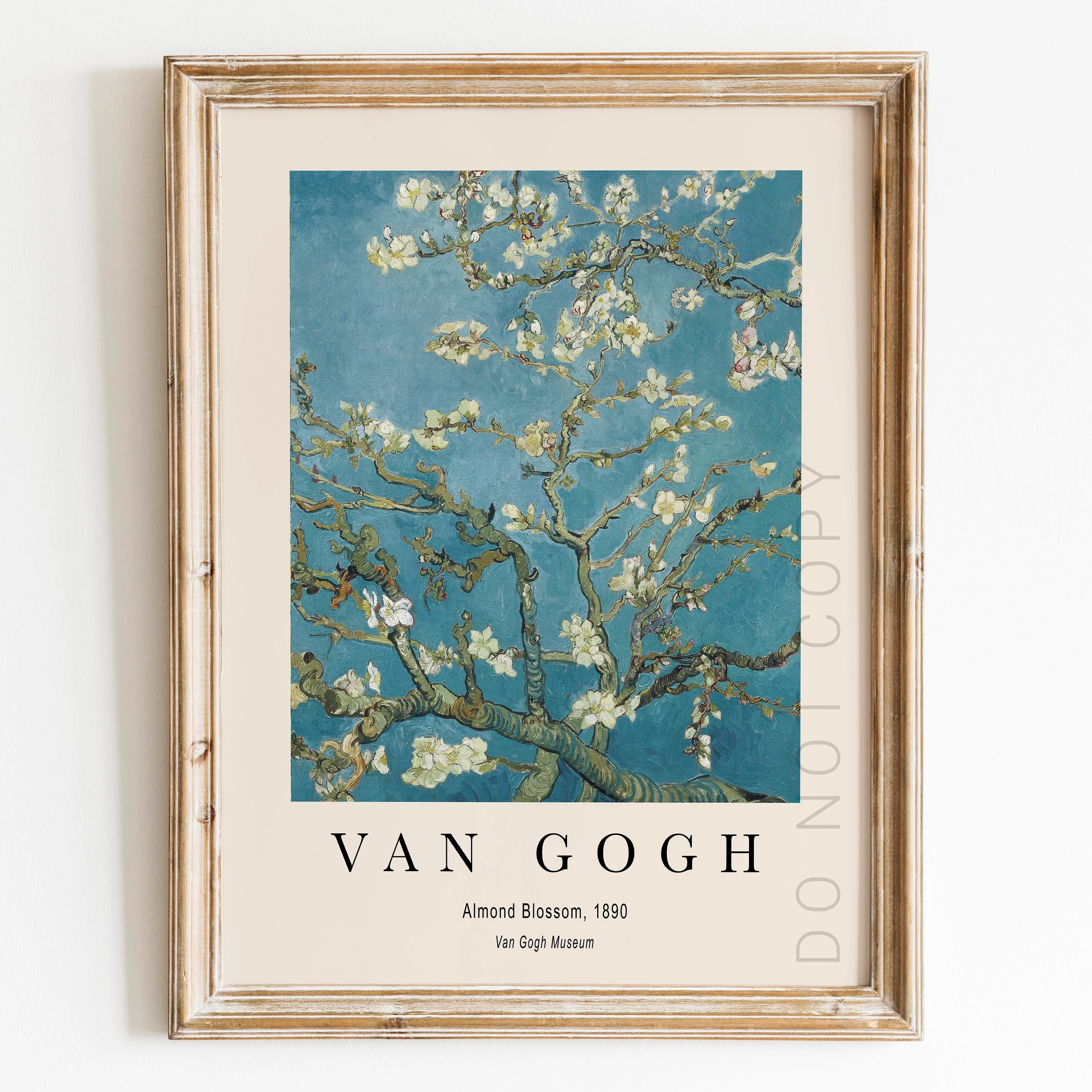 Vincent Van Gogh: Almond Blossom