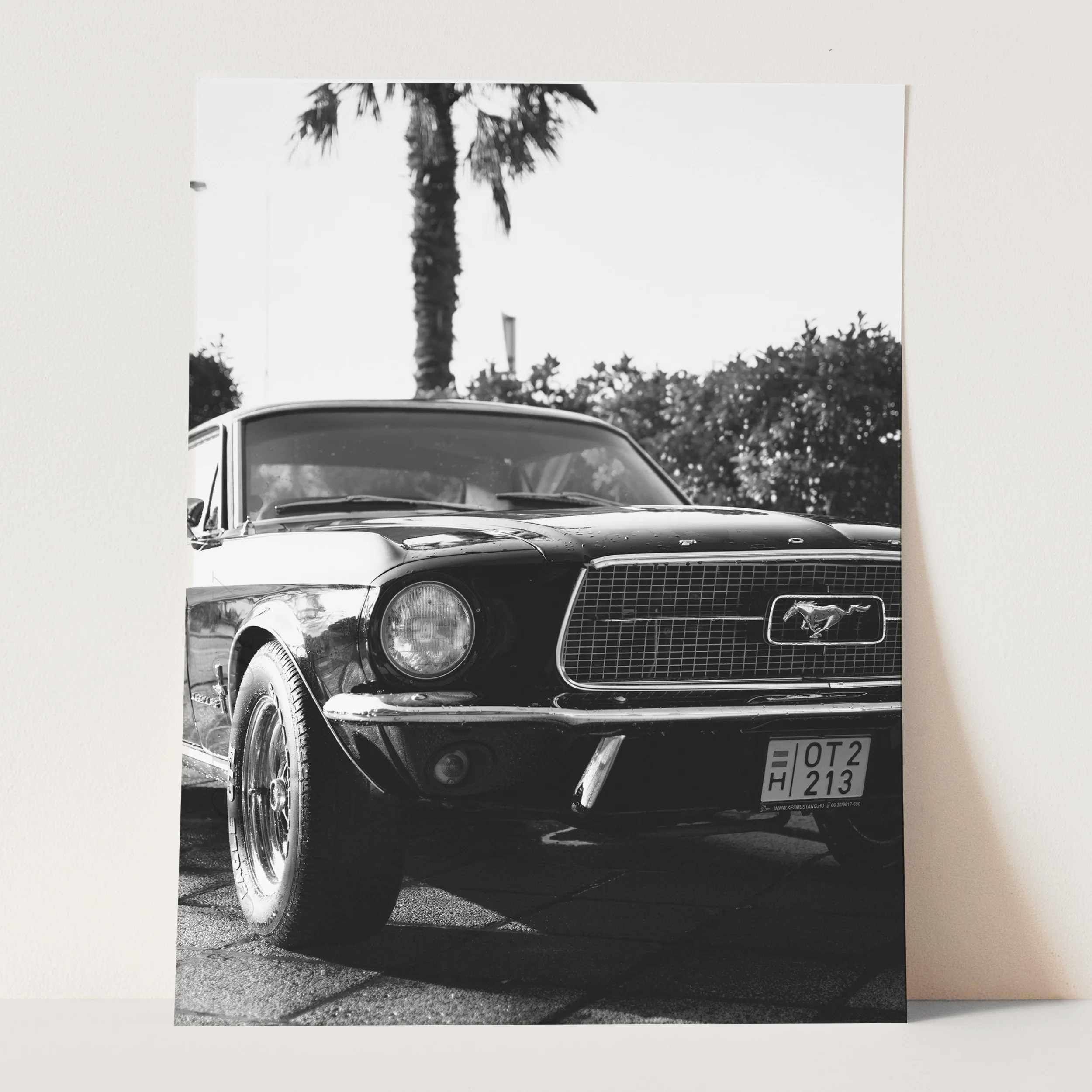 Vintage Ford Mustang and Palm Trees - Image 3