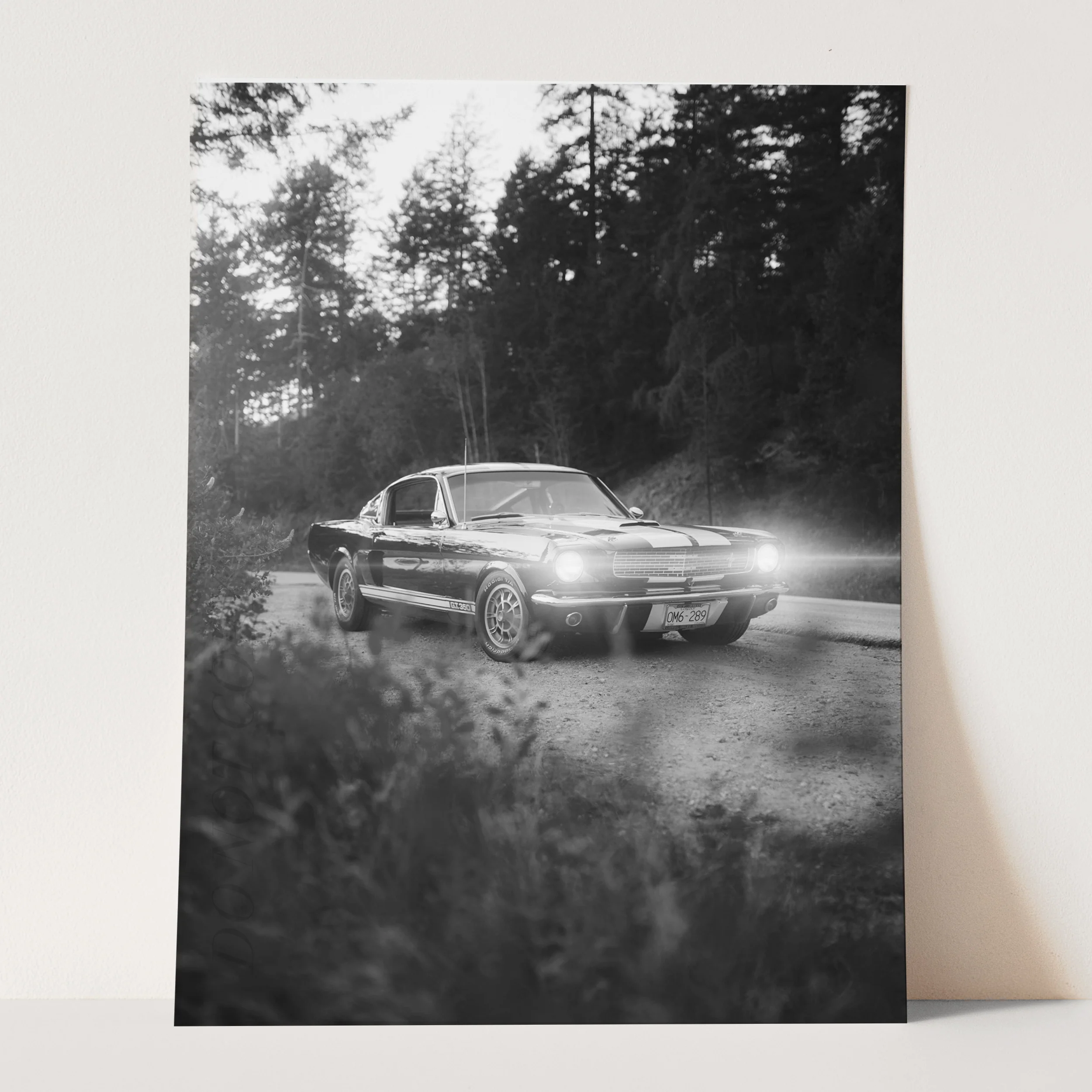 Vintage Ford Mustang Shelby GT500 on a Country Road - Image 3