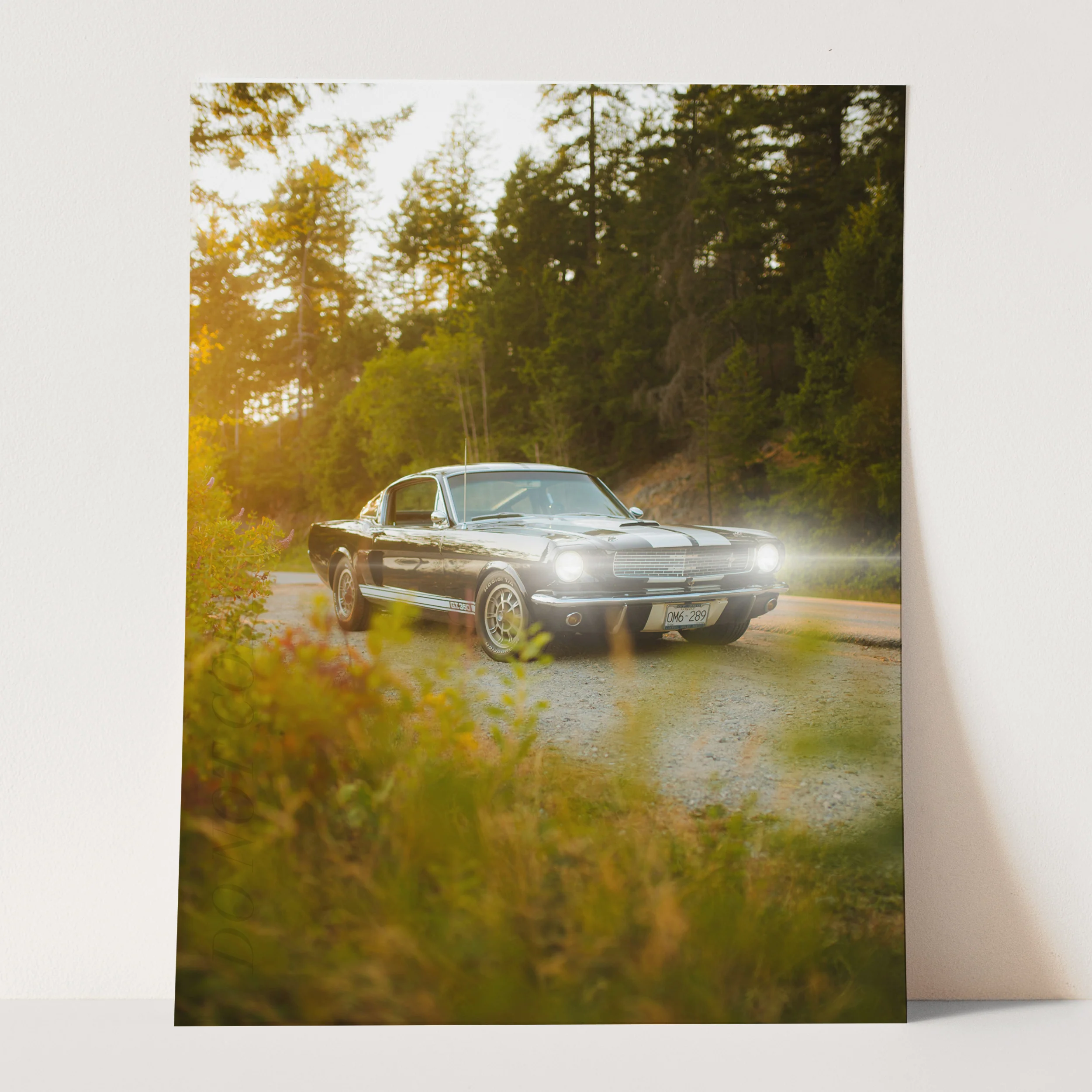 Vintage Ford Mustang Shelby GT500 on a Country Road - Image 3