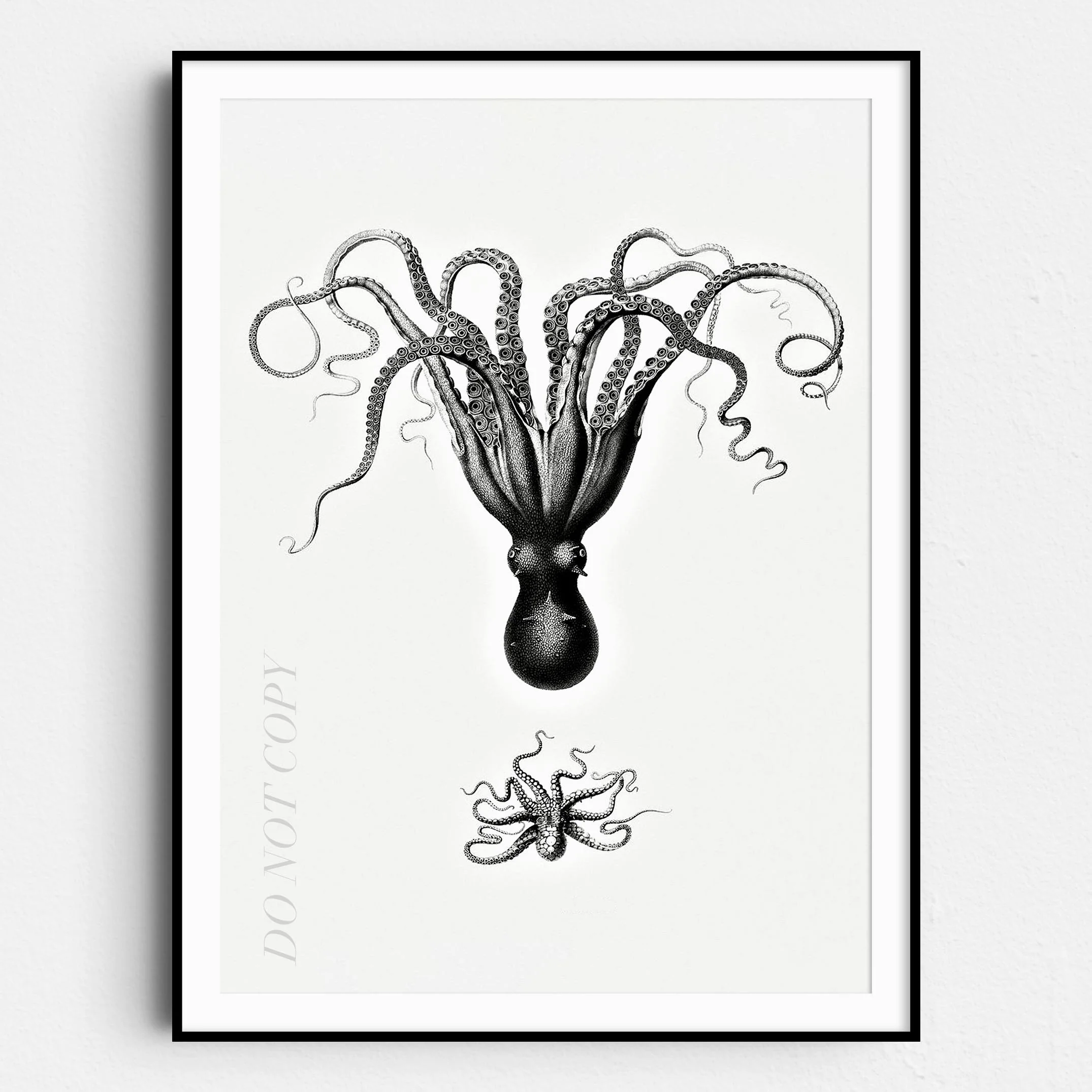 Vintage Octopus Illustration