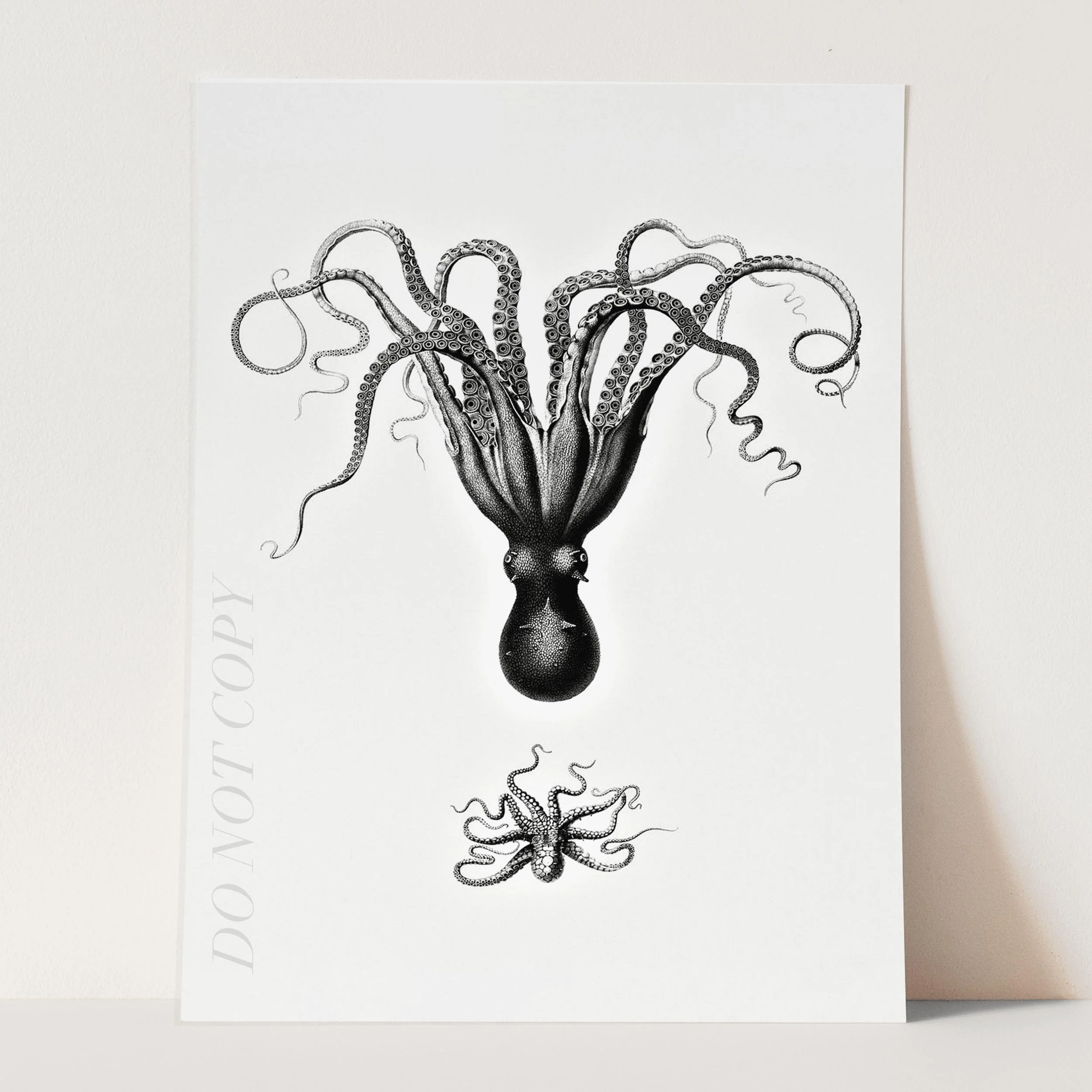 Vintage Octopus Illustration - Image 3