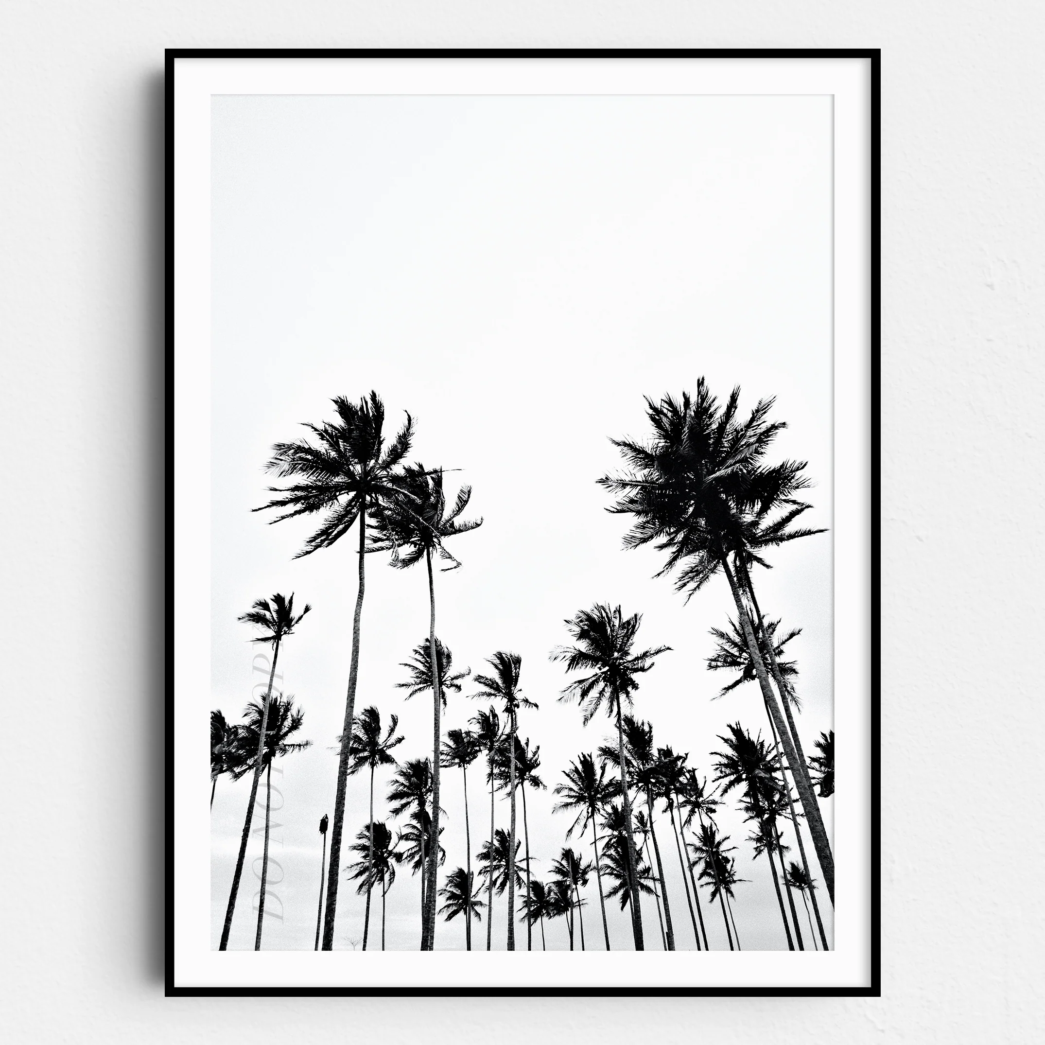 Vintage Palm Trees