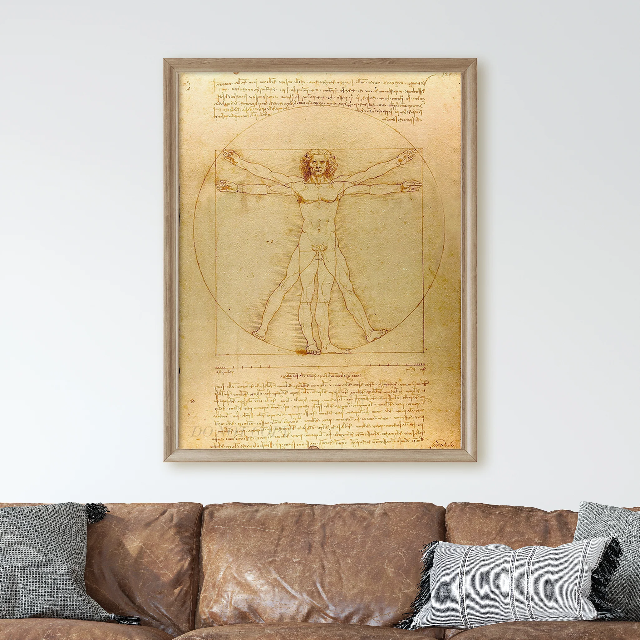 Vitruvian Man Drawing by Leonardo da Vinci - Image 2