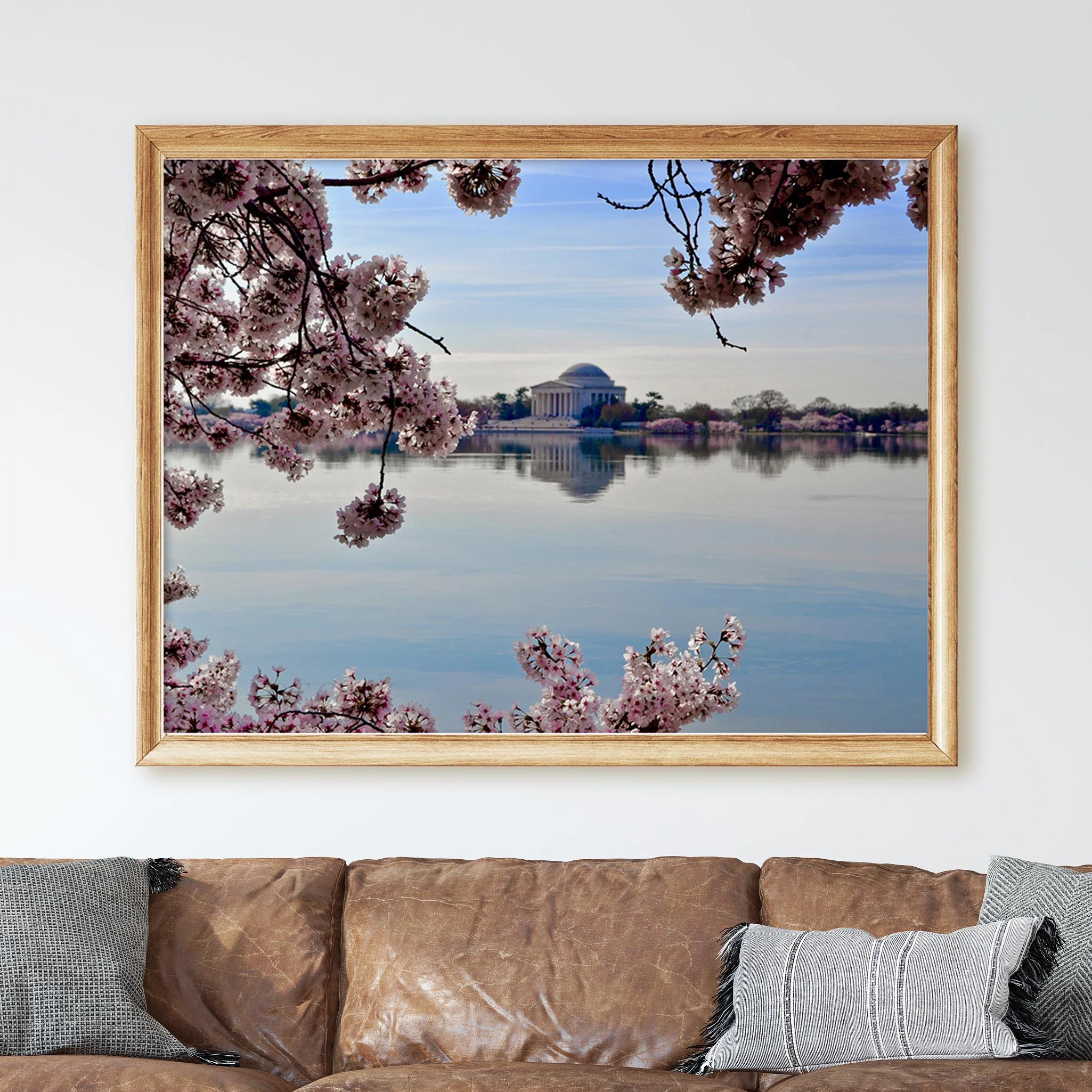 Washington DC Cherry Blossoms - Image 3