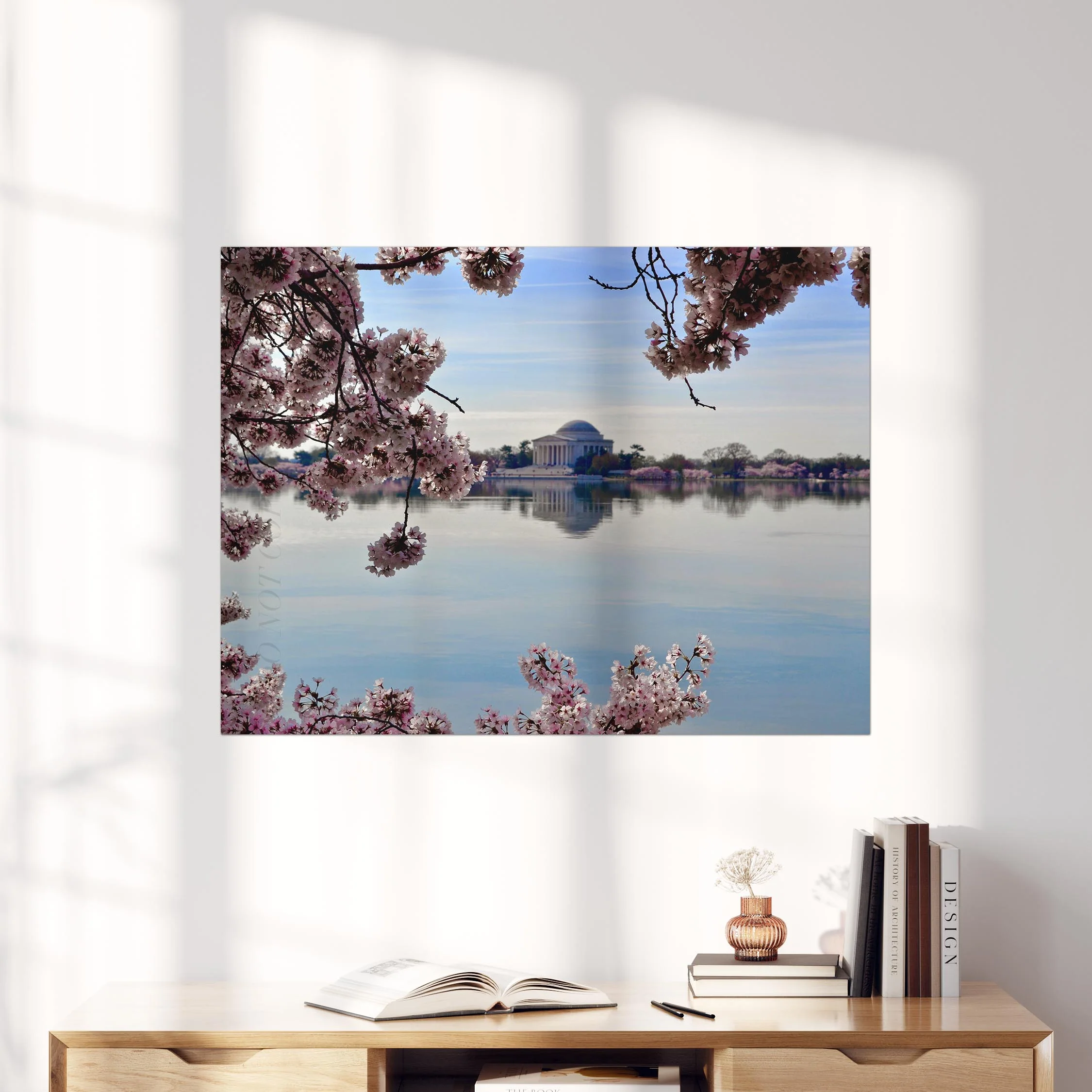 Washington DC Cherry Blossoms - Image 4