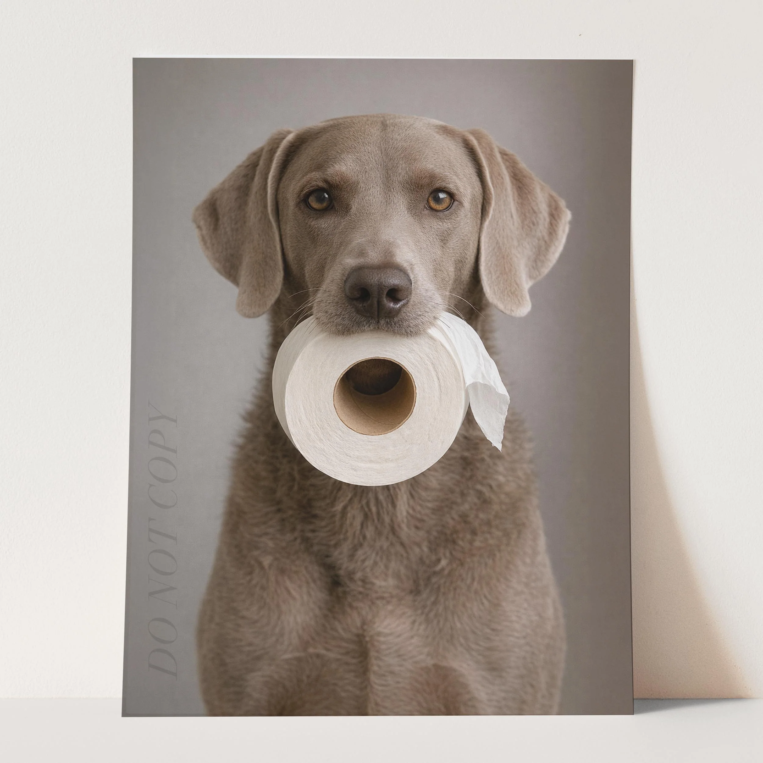 Weimaraner Dog Toilet Paper - Image 3