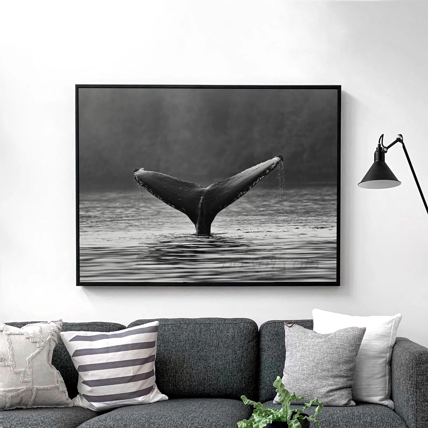 Whale Tail - Image 2