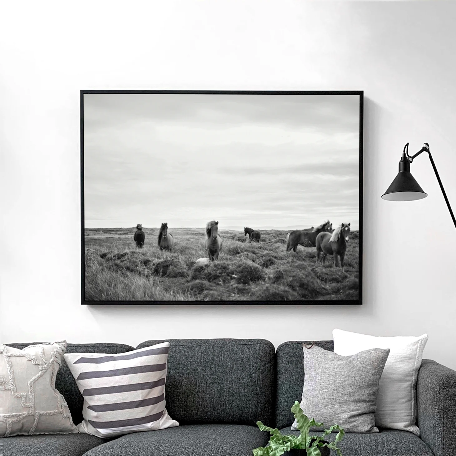 Wild Horses in Field - Image 2