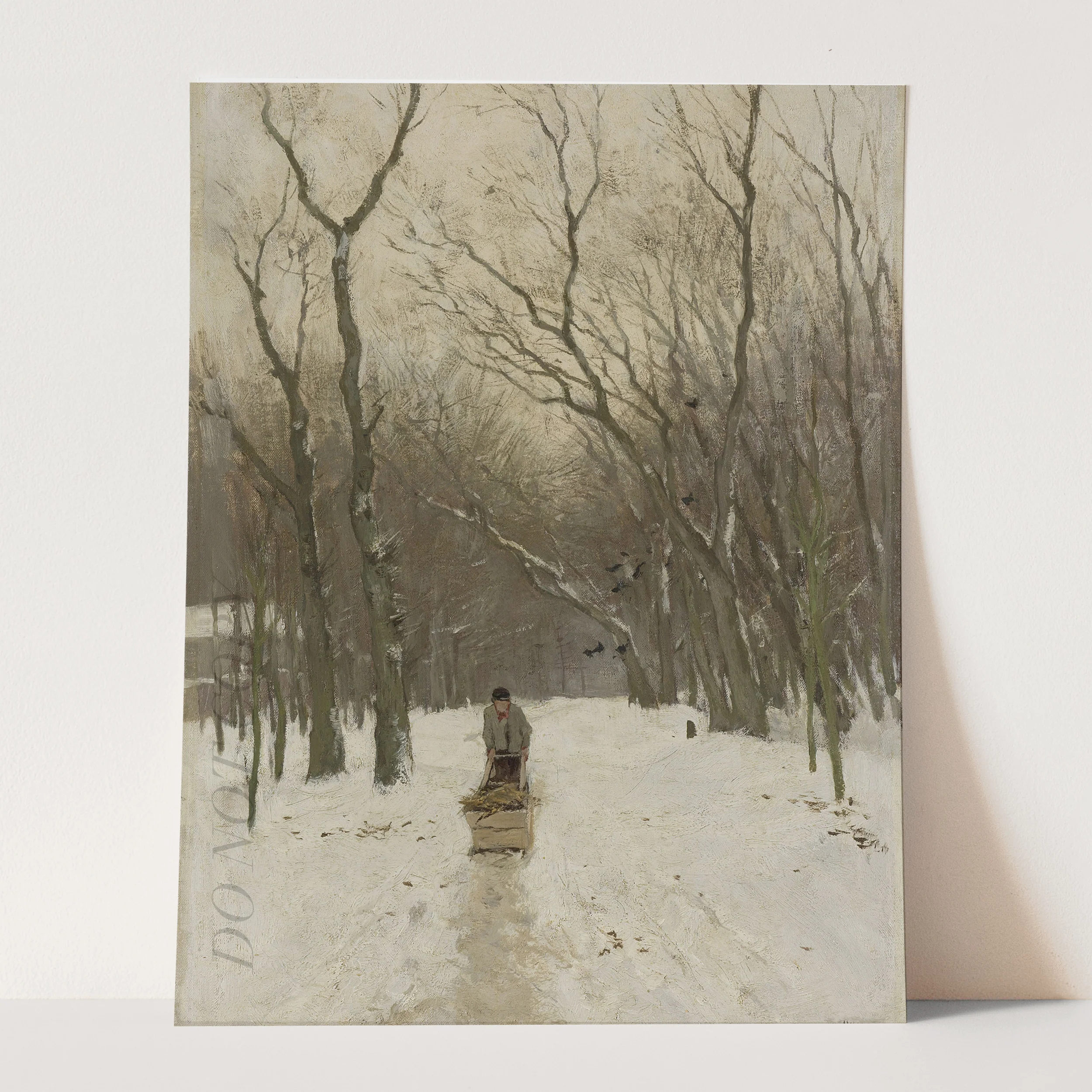 Winter Firewood - Image 3