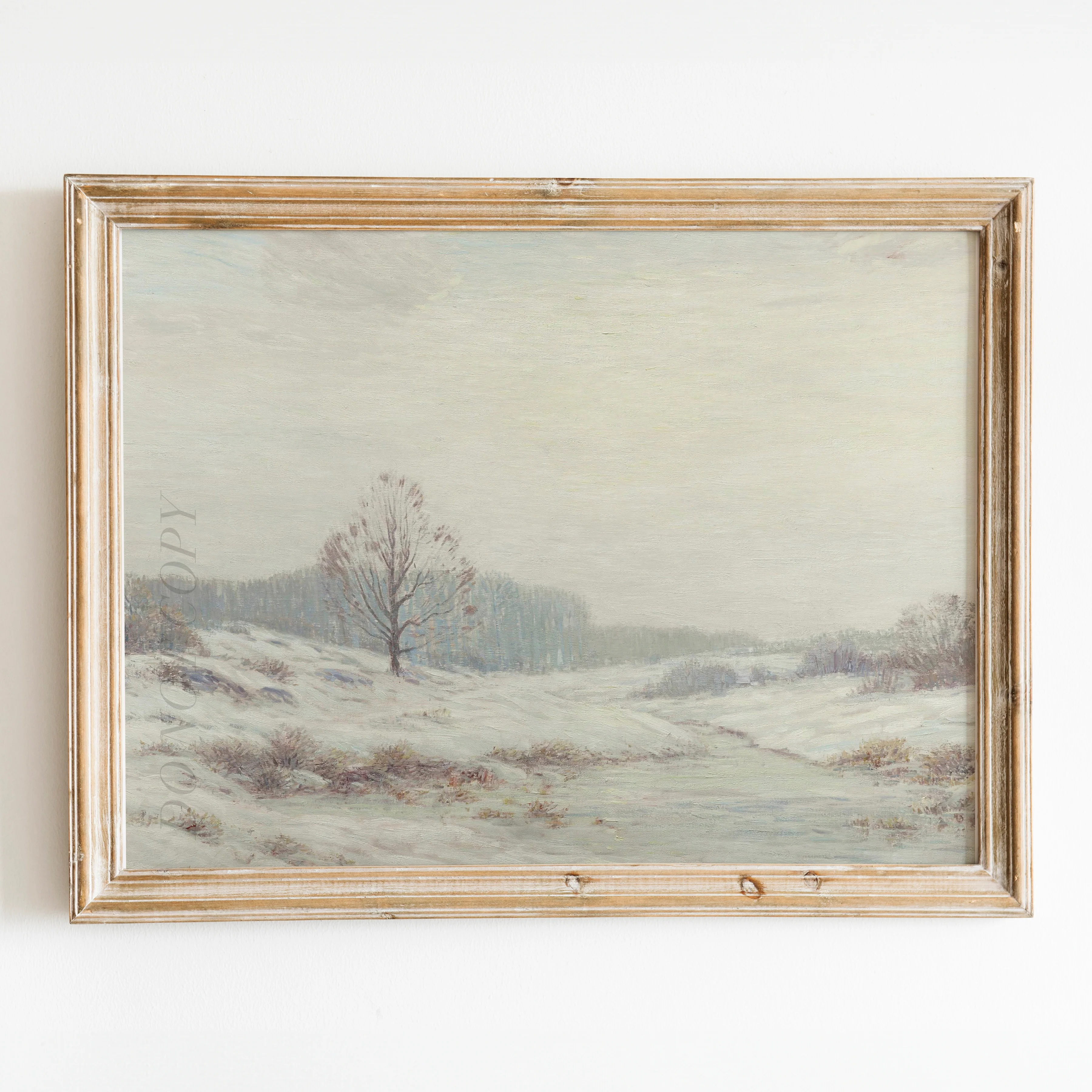 Winter Frost