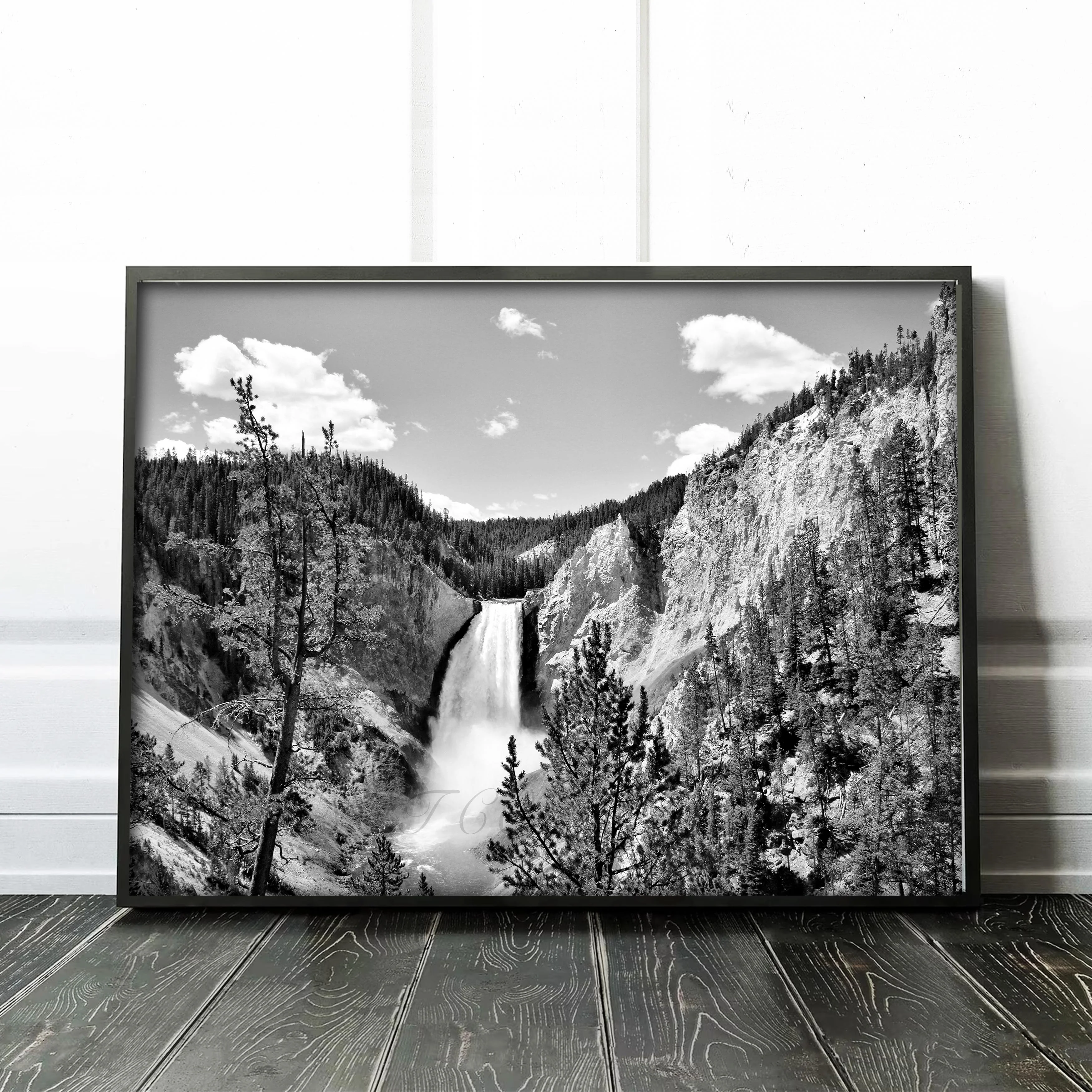 Yellowstone Falls - Image 2