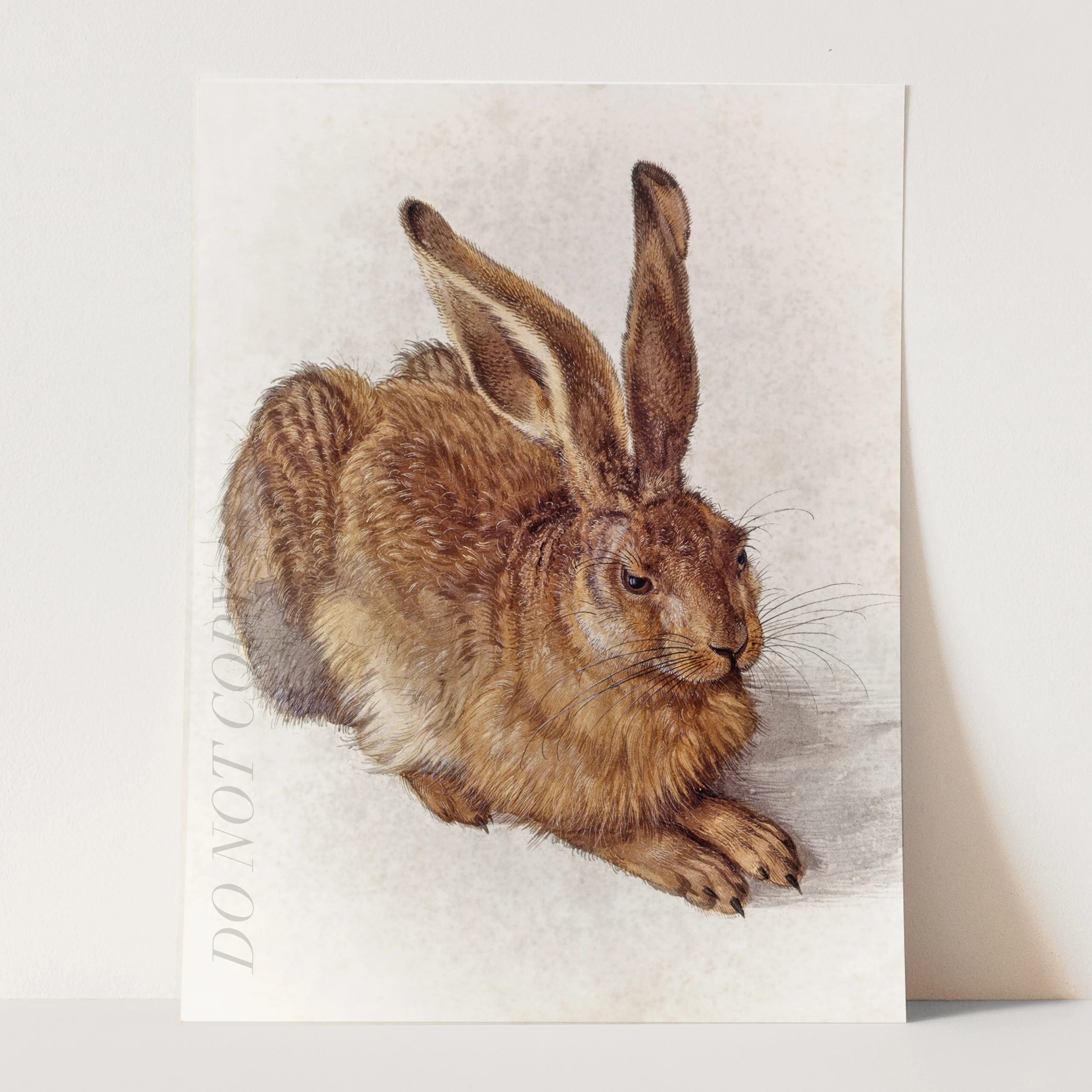 Young Hare by Albrecht Durer - Image 3