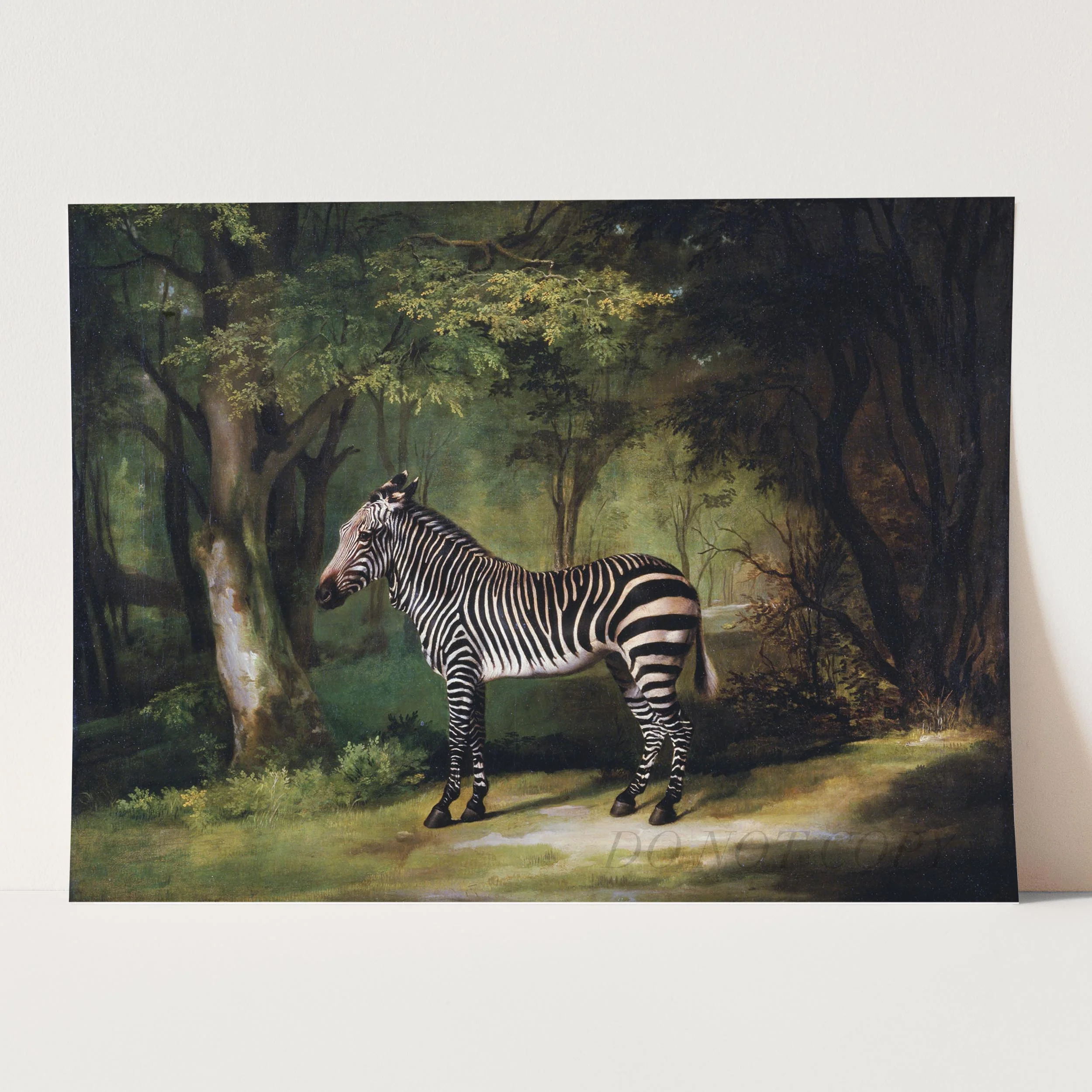 Zebra 1763 George Stubbs - Image 3